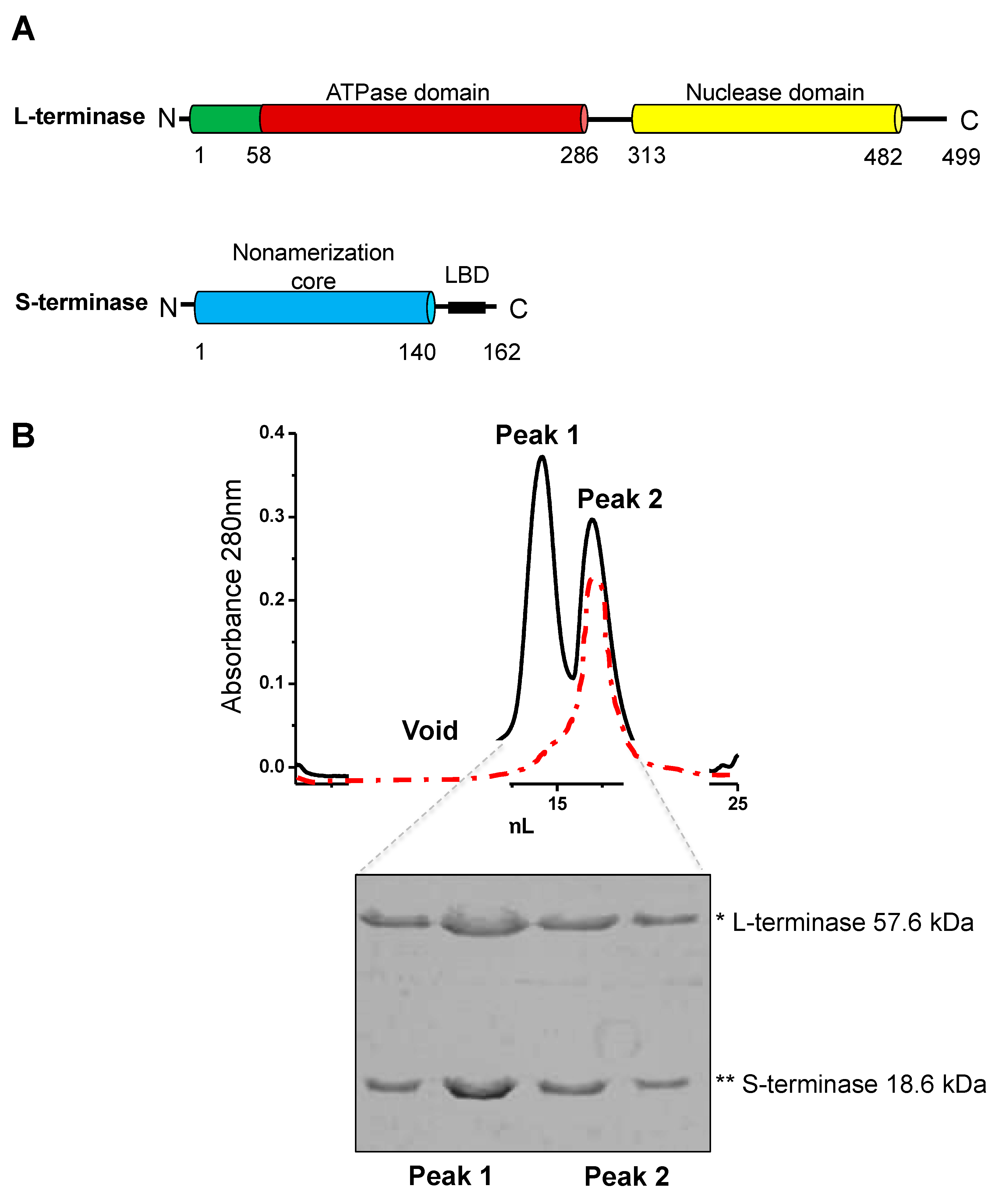 Preprints 84694 g001