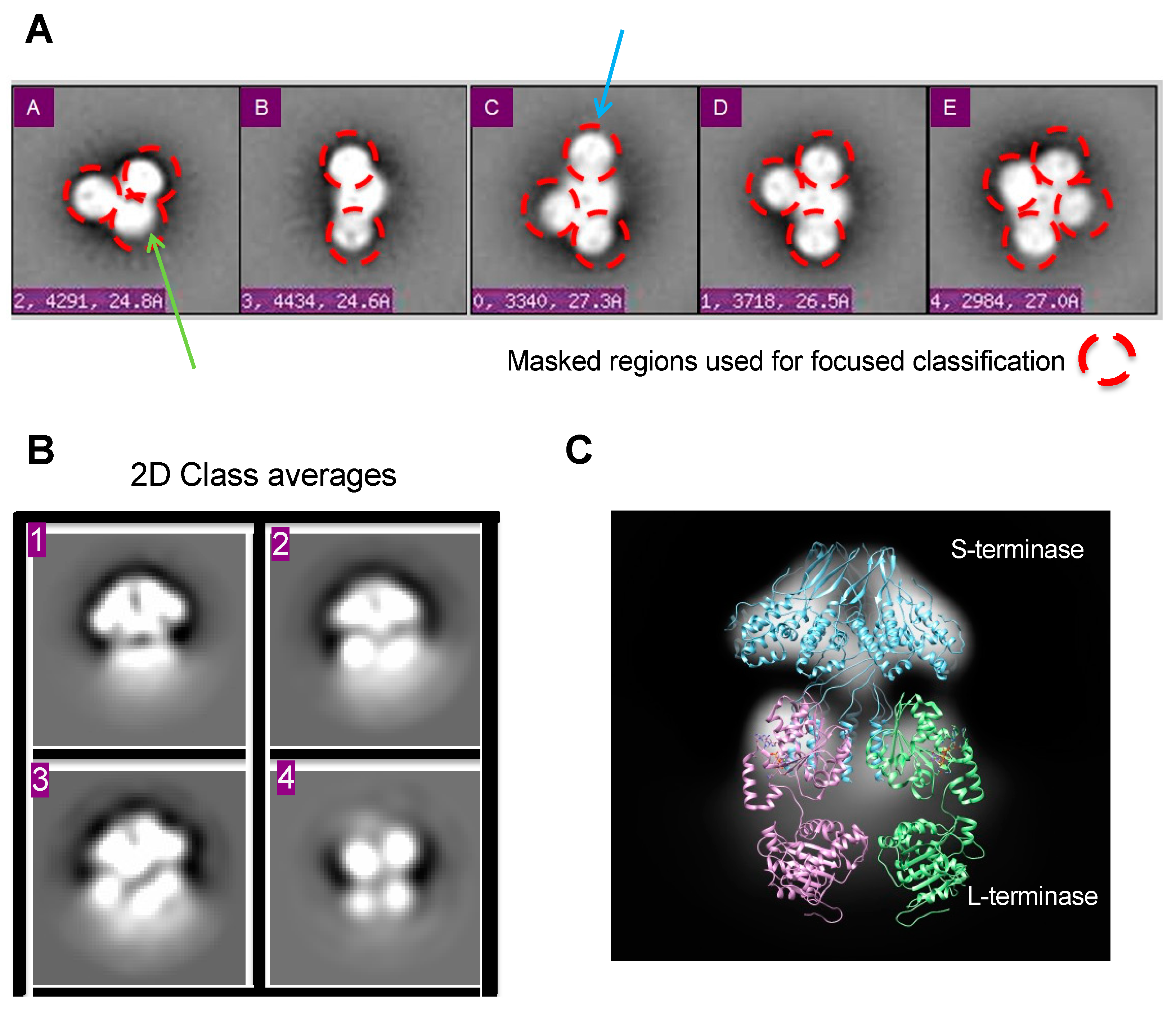 Preprints 84694 g002