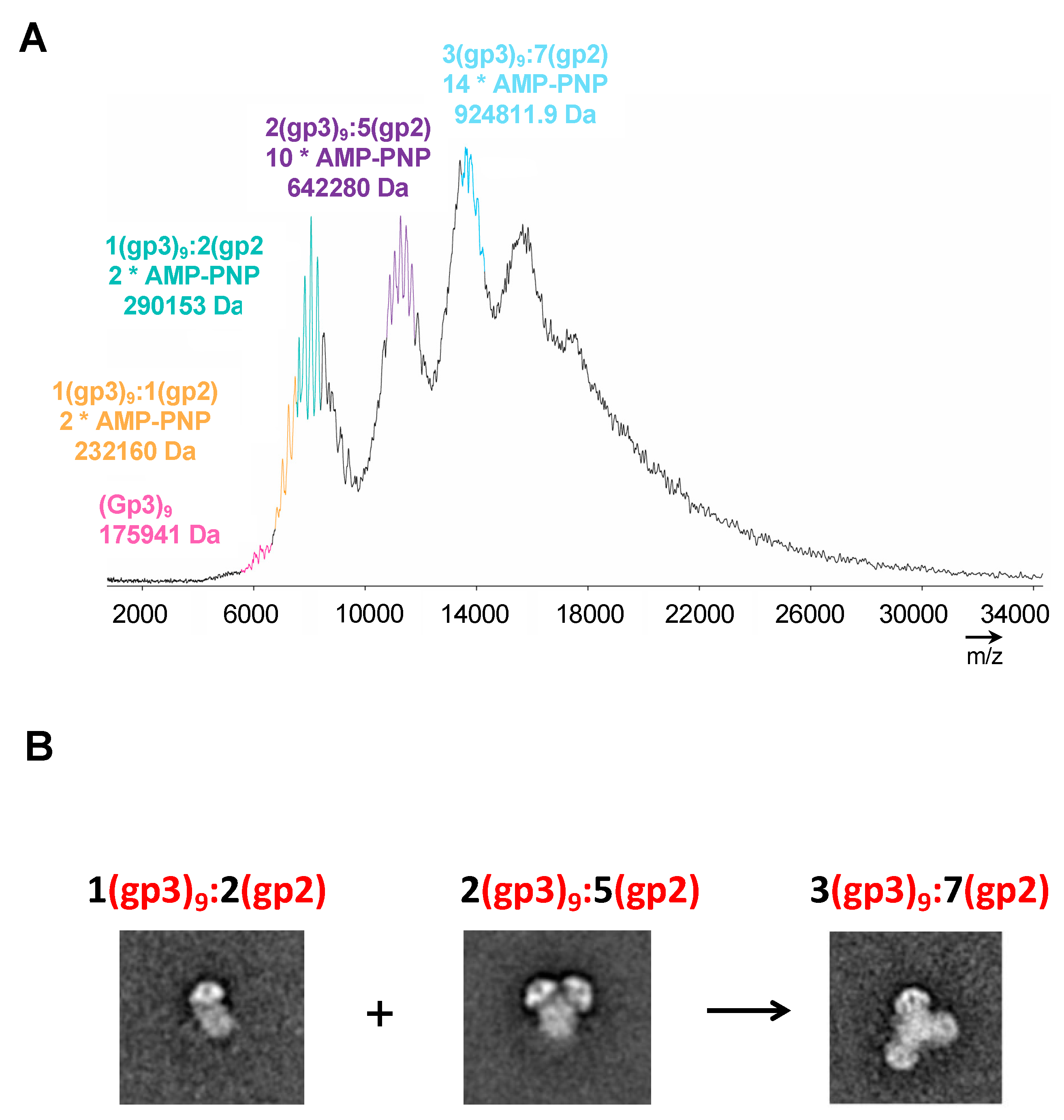 Preprints 84694 g004