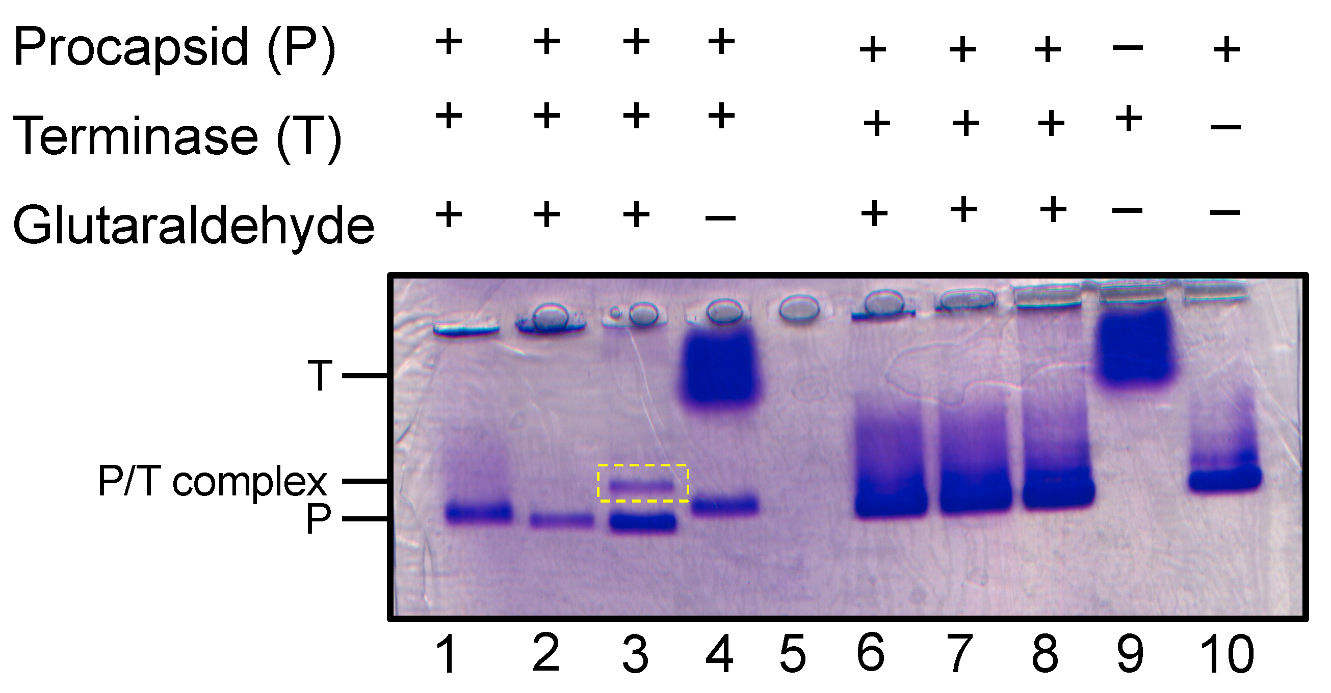 Preprints 84694 g005