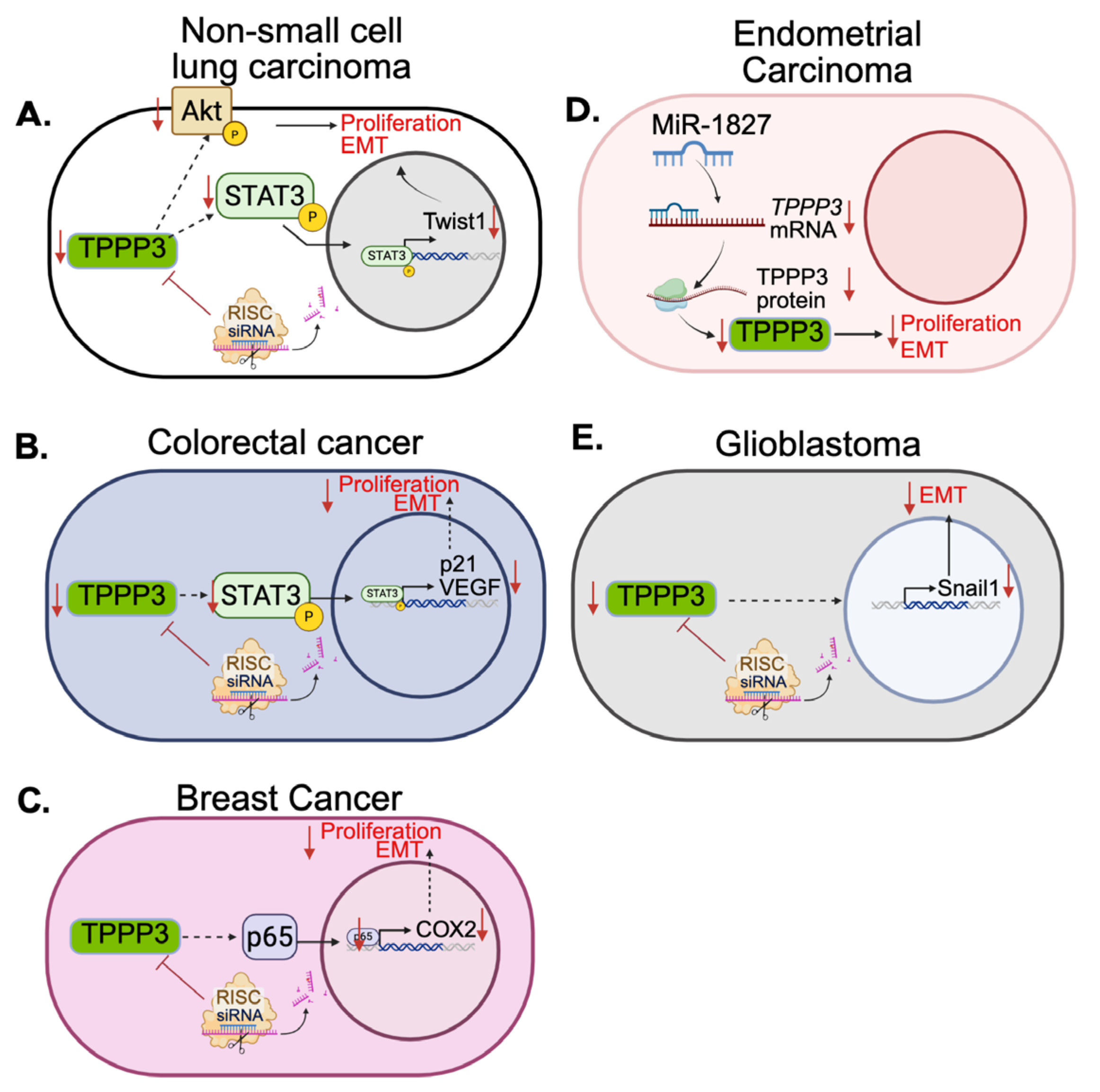 Preprints 177472 g002