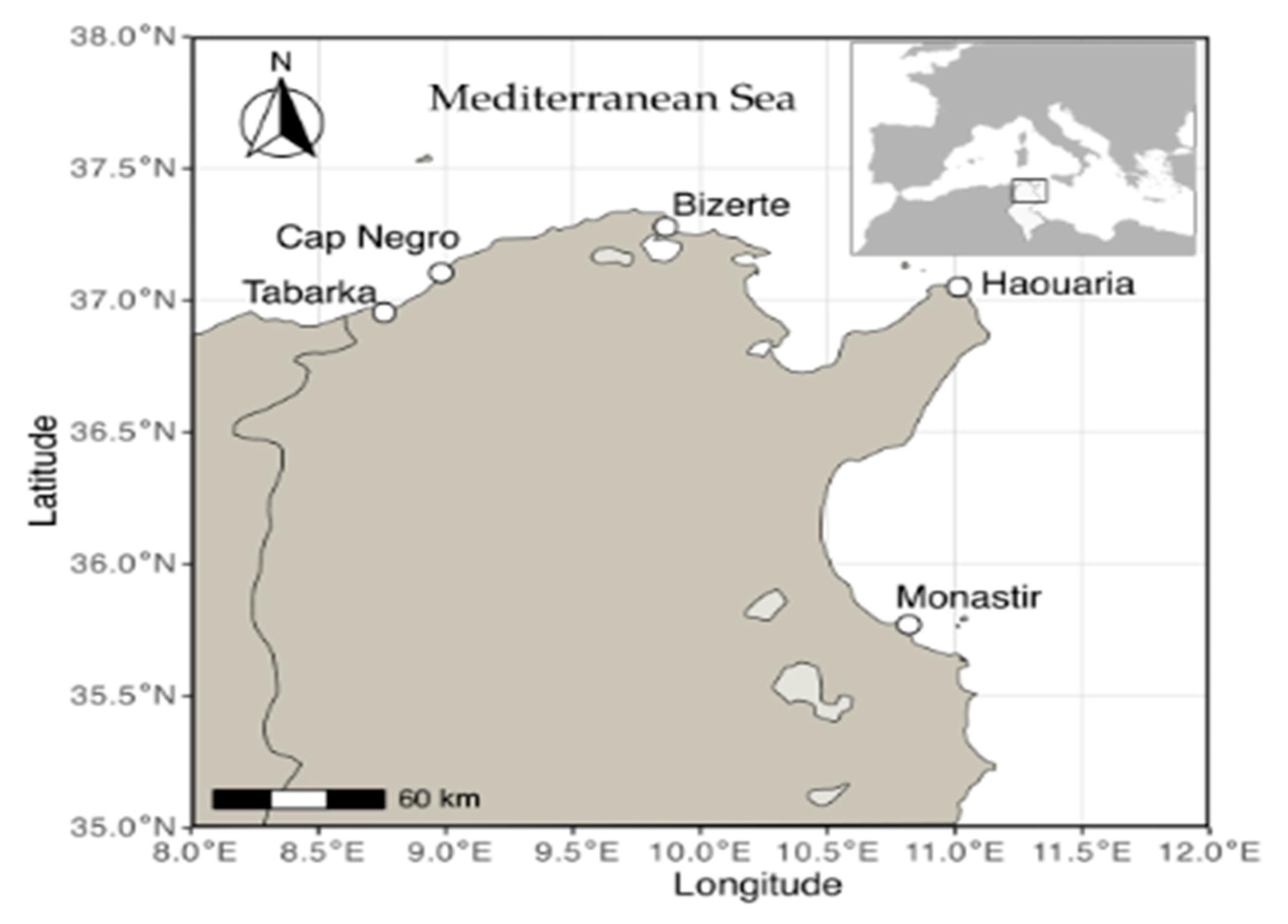 Preprints 177346 g001
