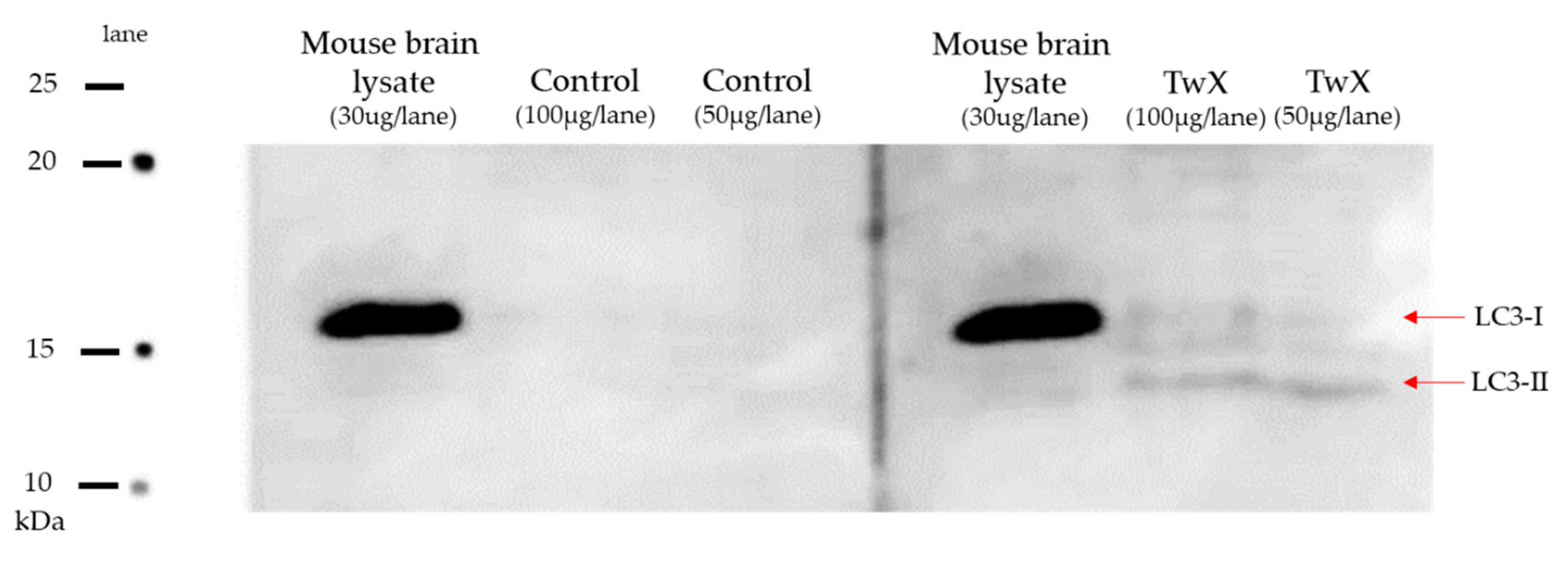 Preprints 80990 g006