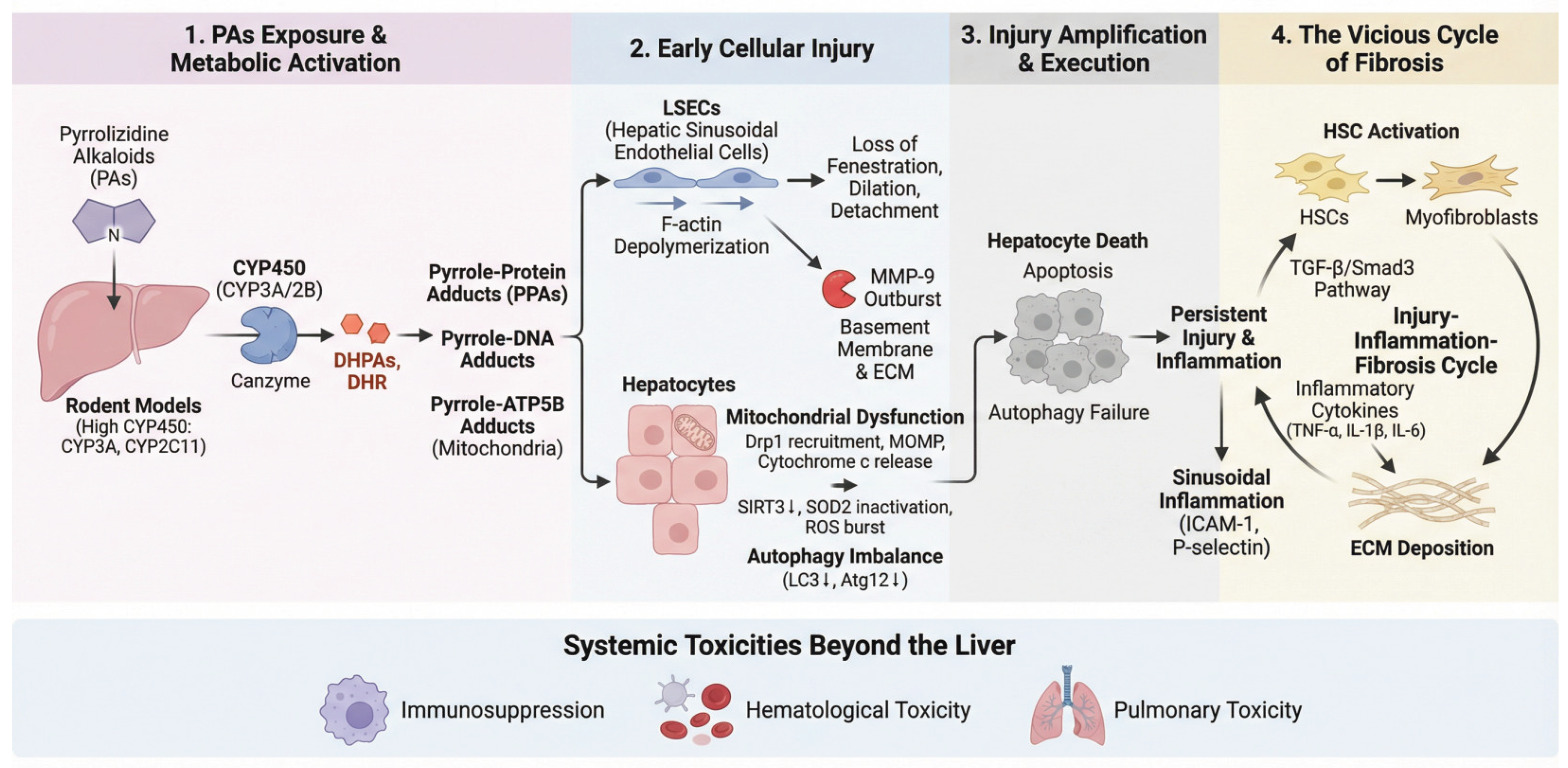 Preprints 190584 g002