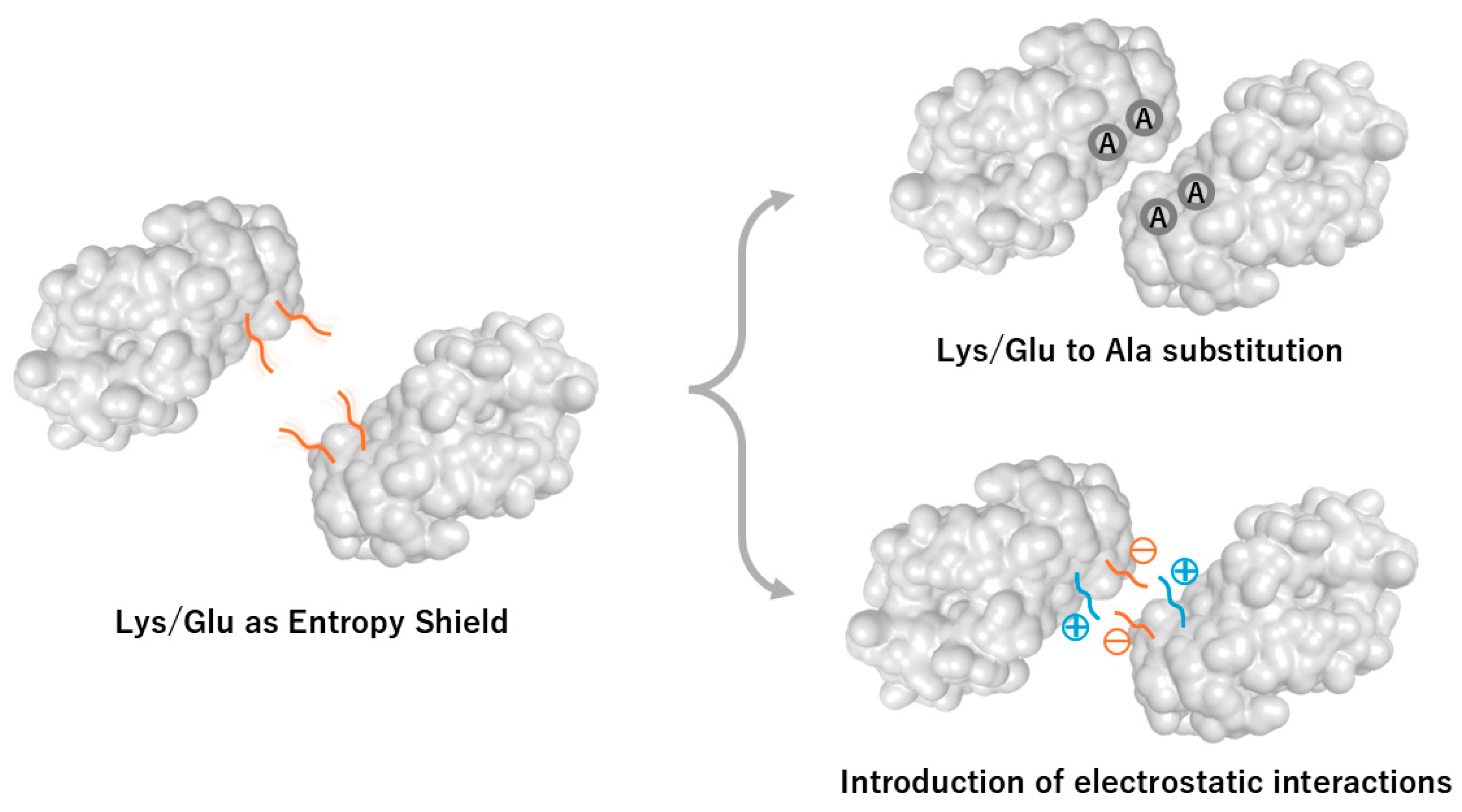 Preprints 189391 g001