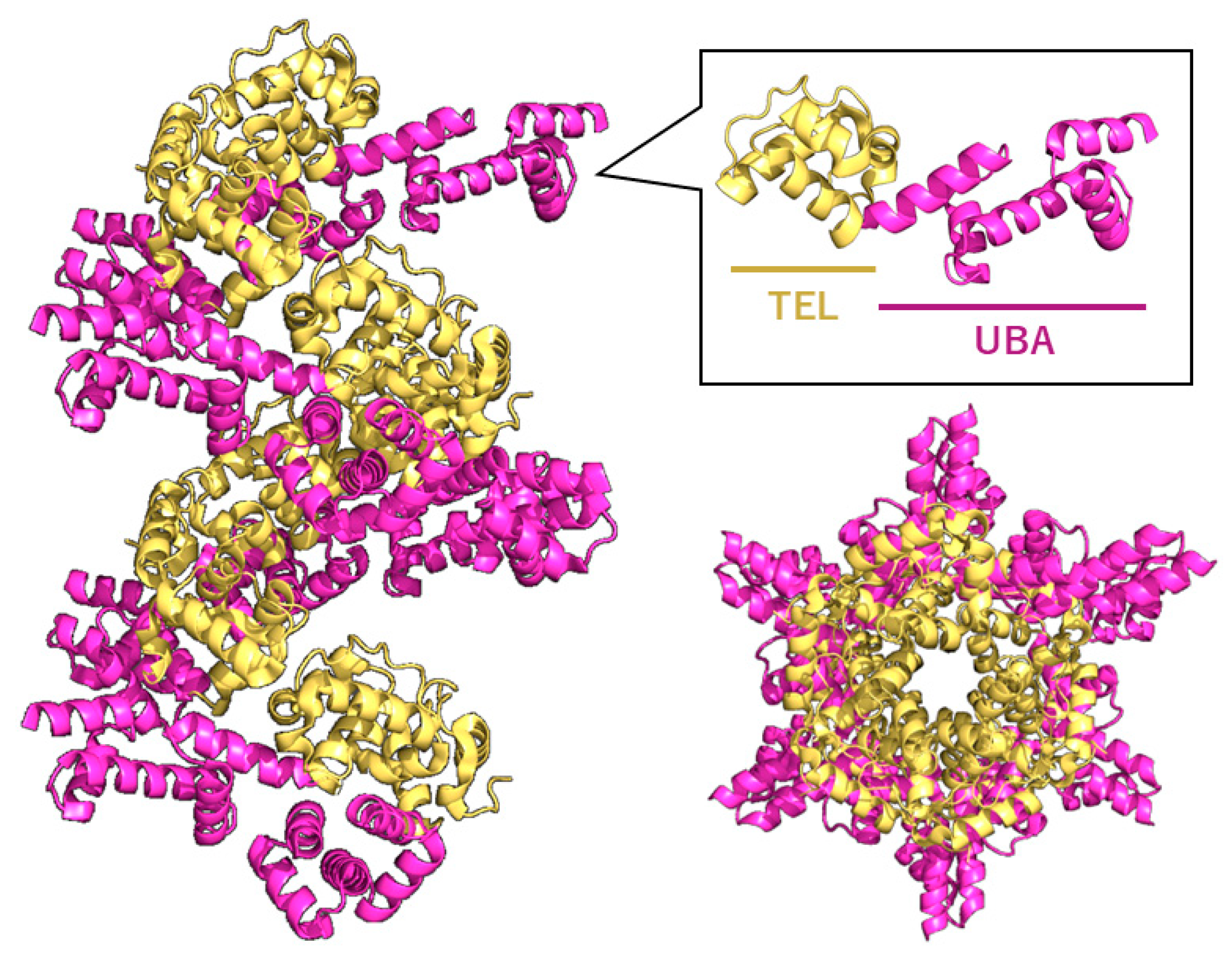 Preprints 189391 g002