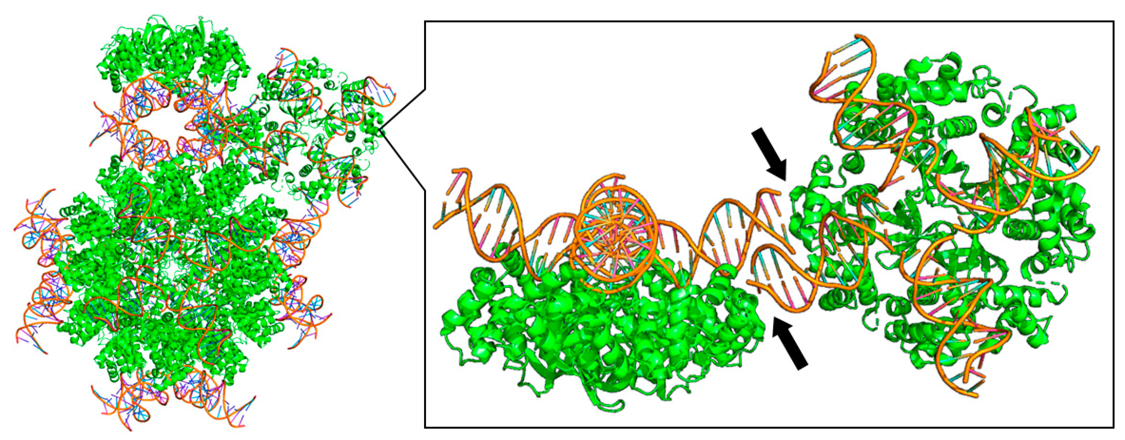 Preprints 189391 g005