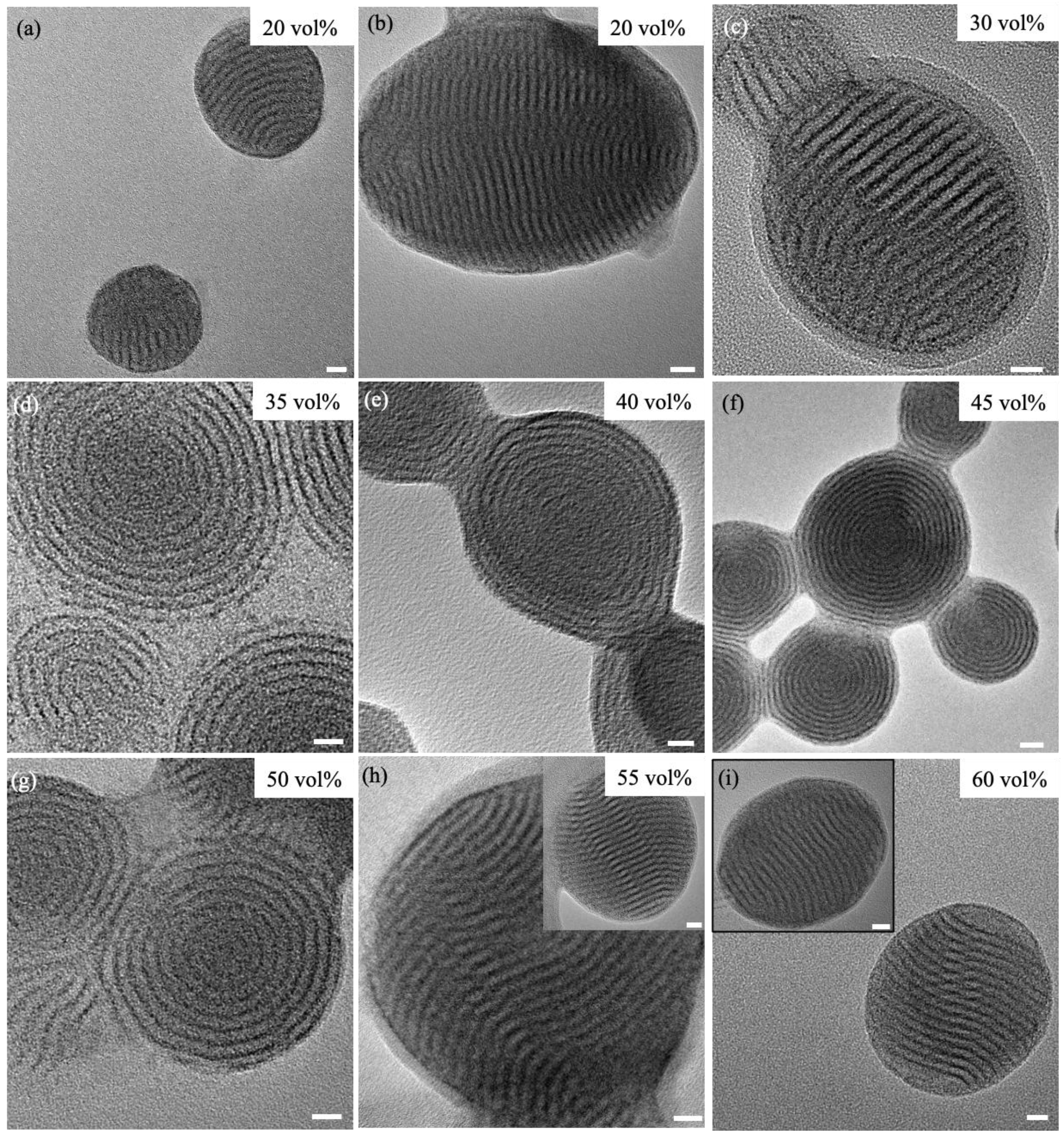Preprints 148845 g002