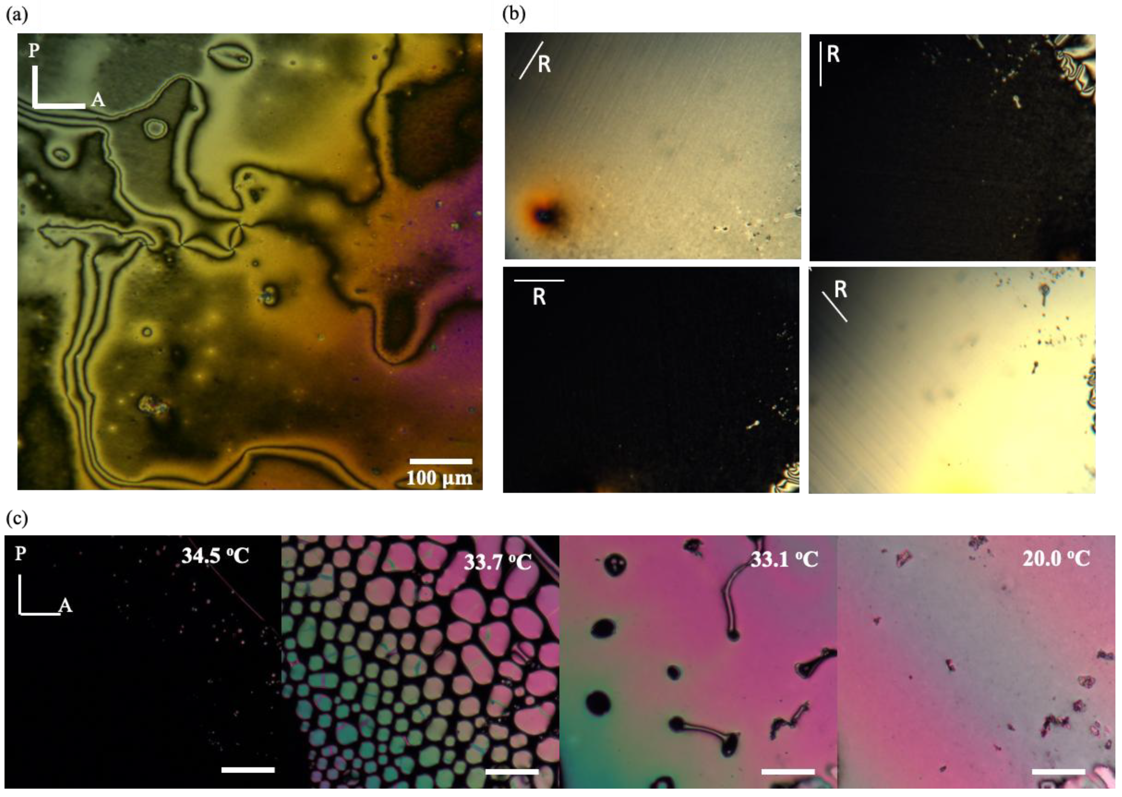 Preprints 148845 g006