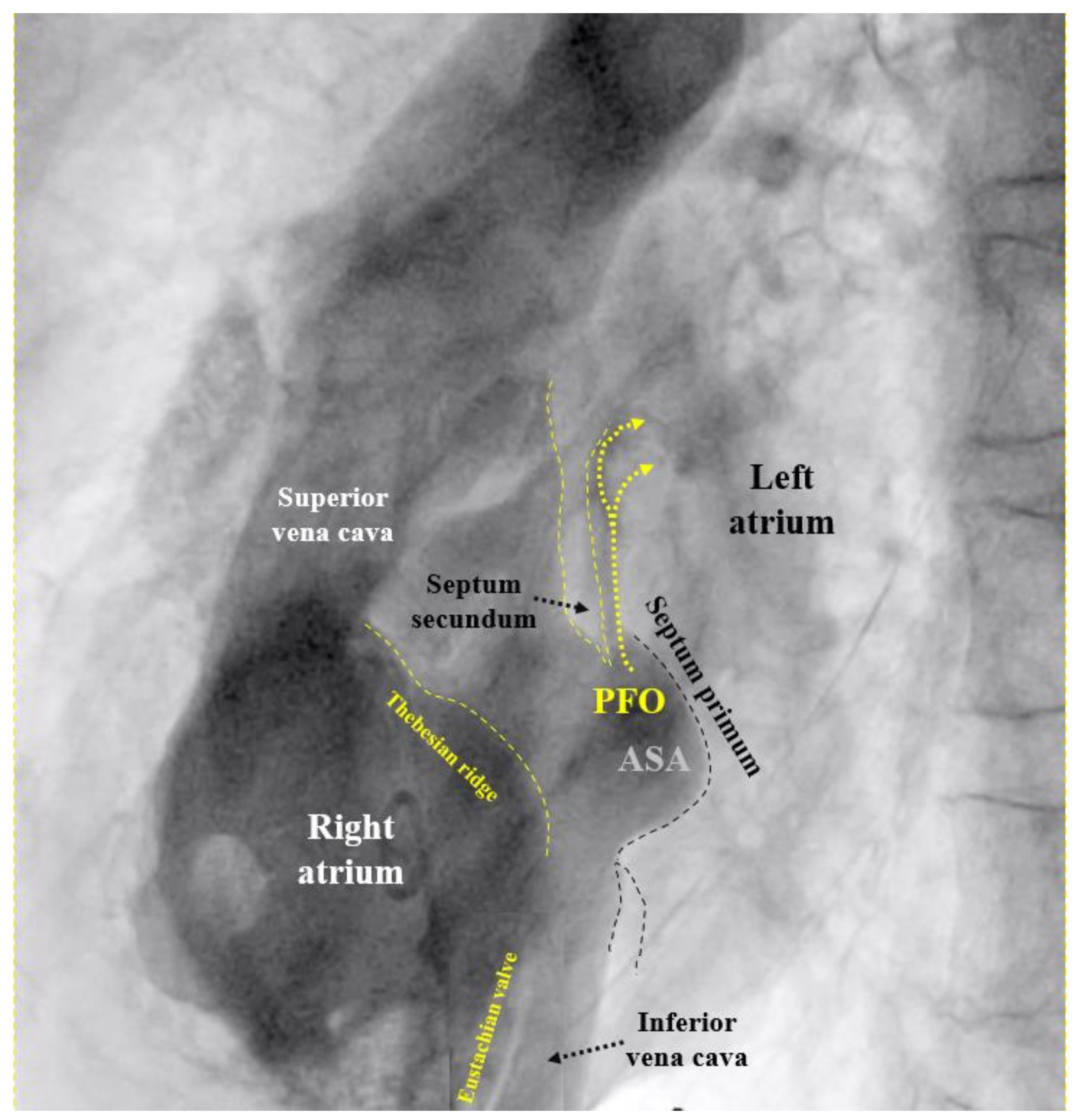 Preprints 102918 g001