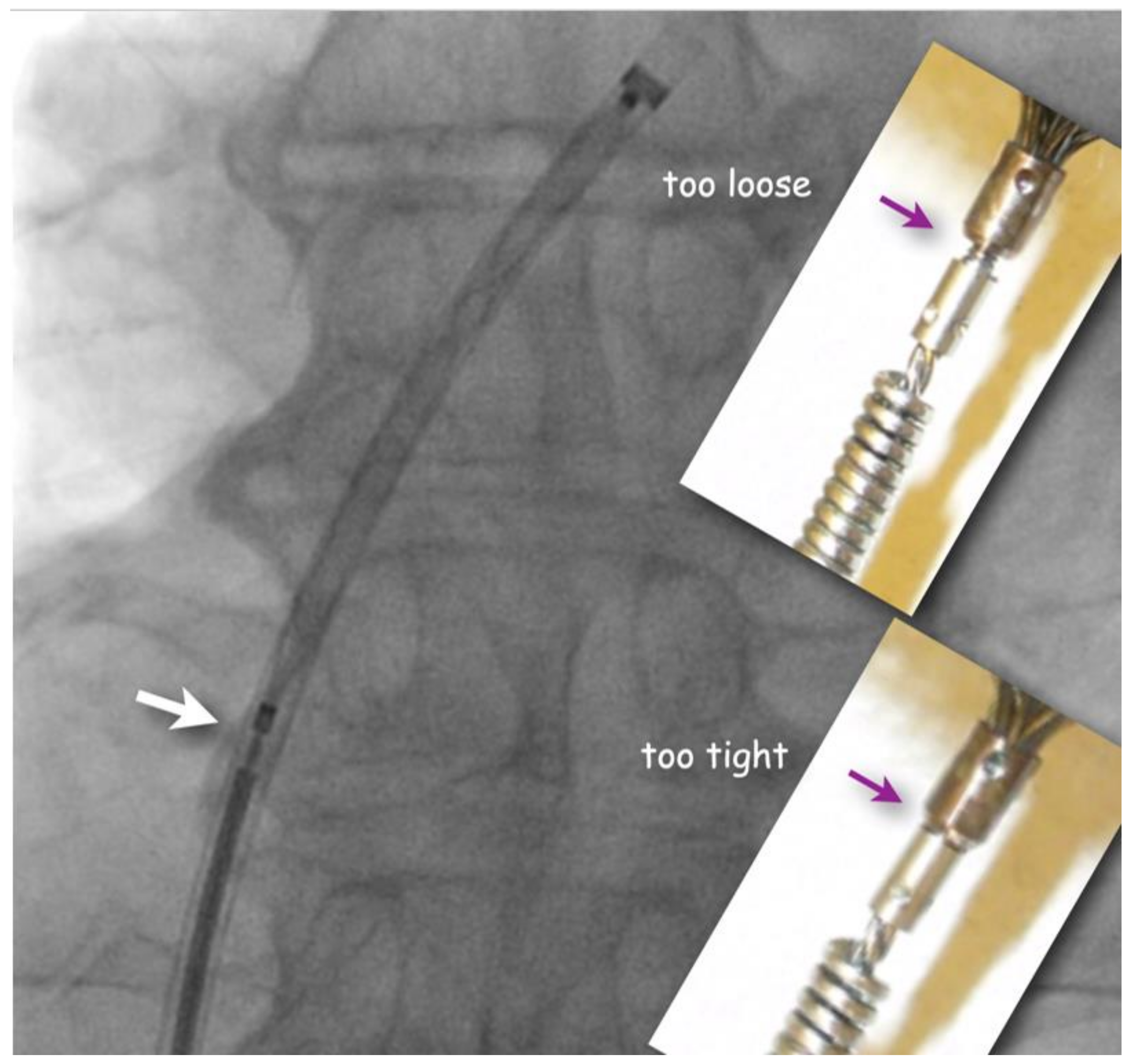Preprints 102918 g002