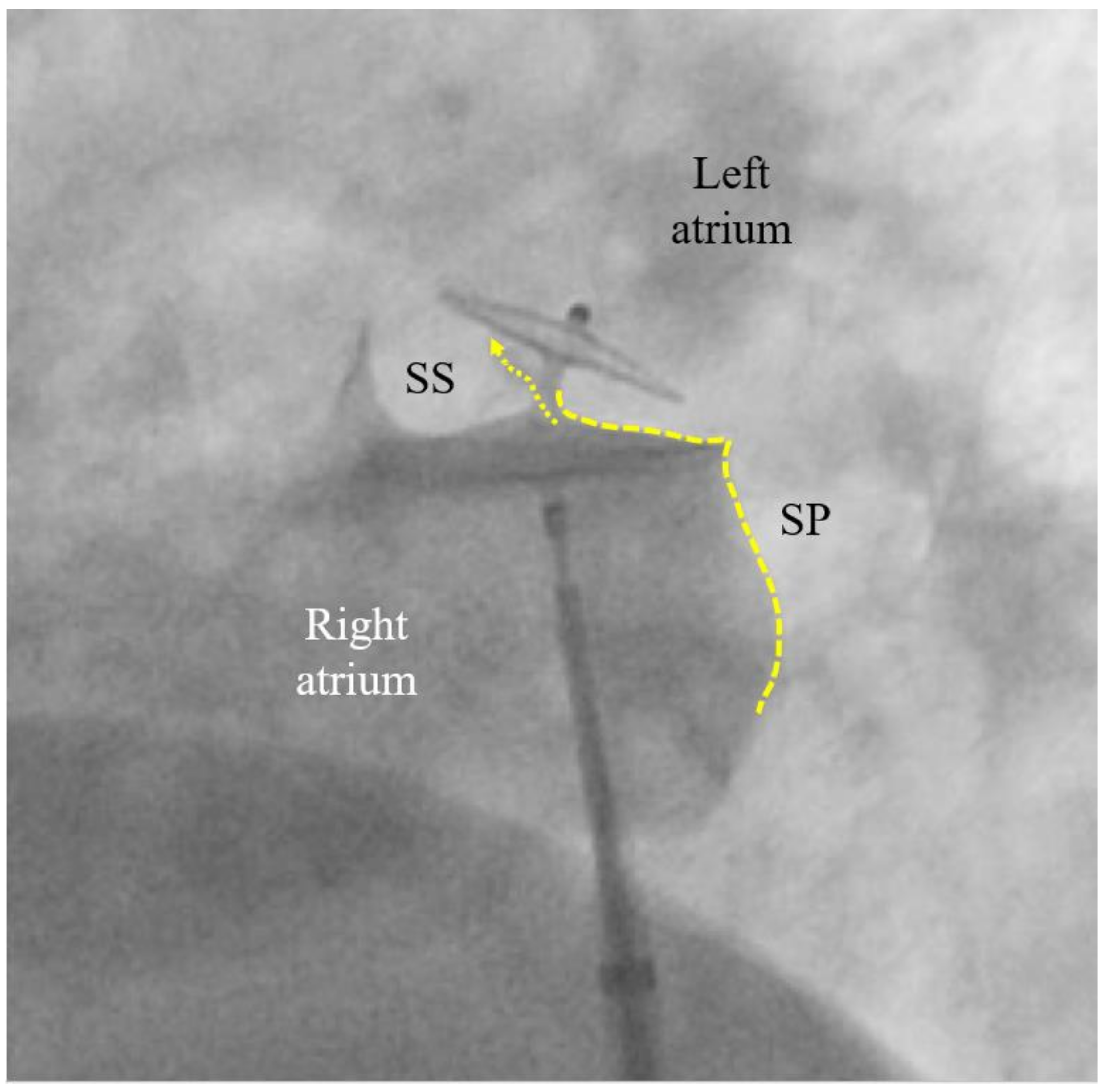 Preprints 102918 g003