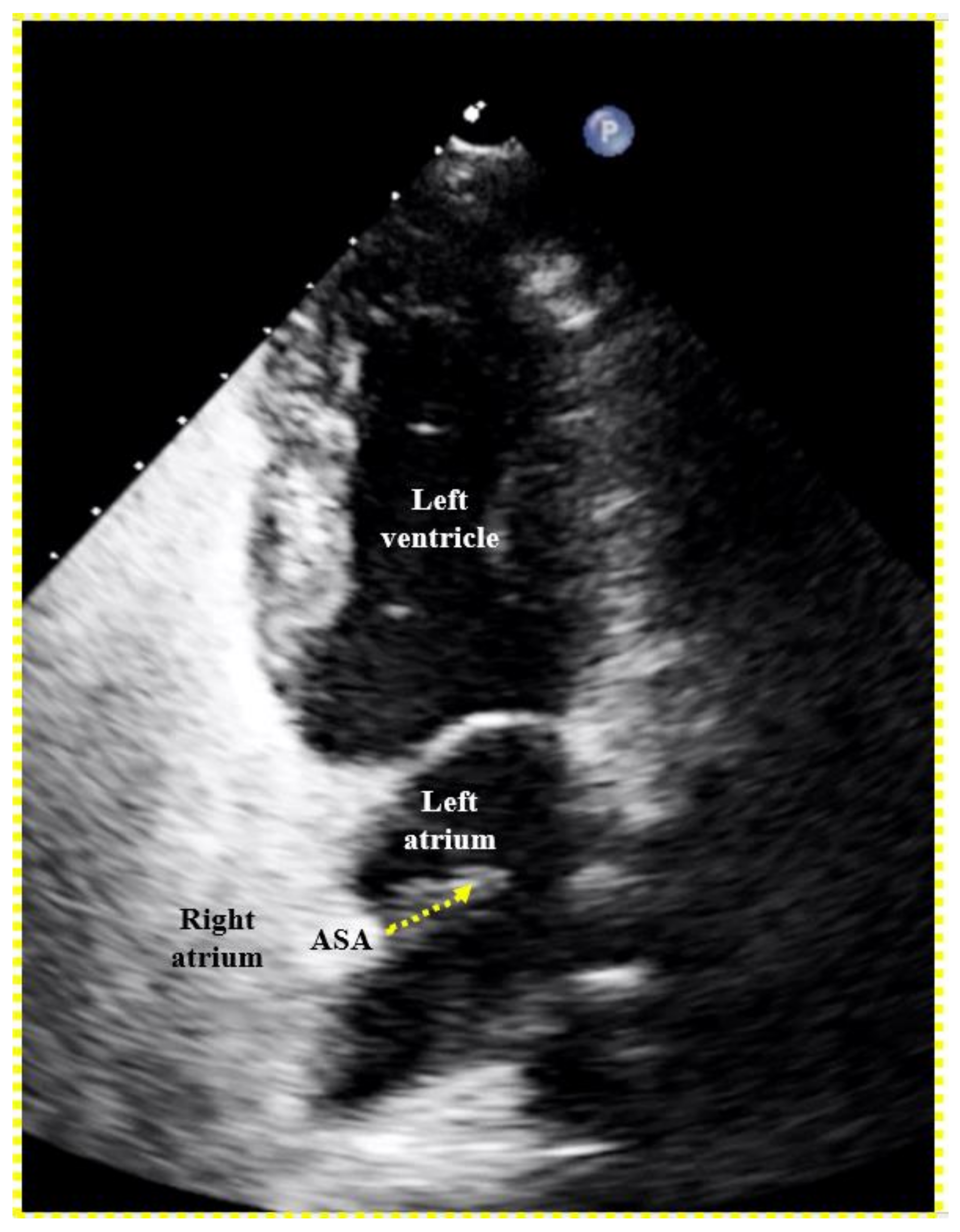 Preprints 102918 g005