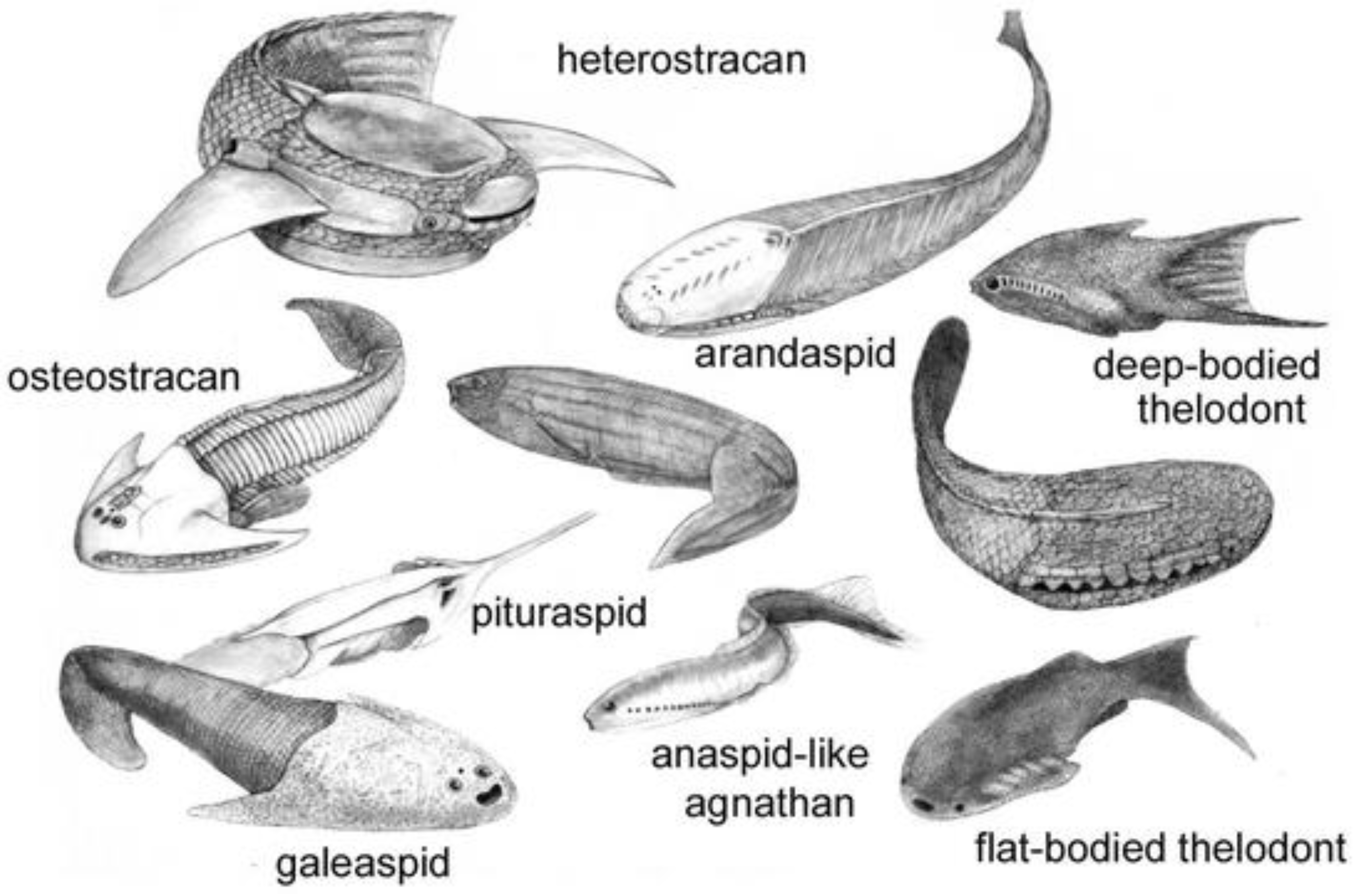 Preprints 137550 g002