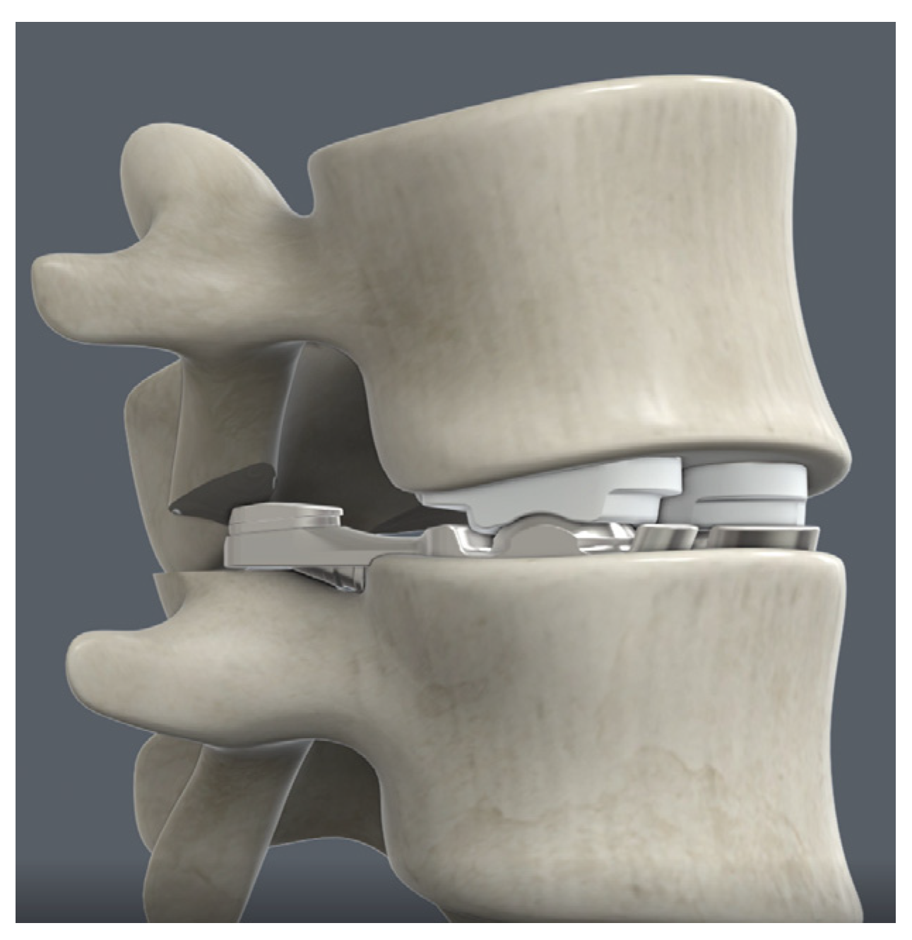 Preprints 141880 g001