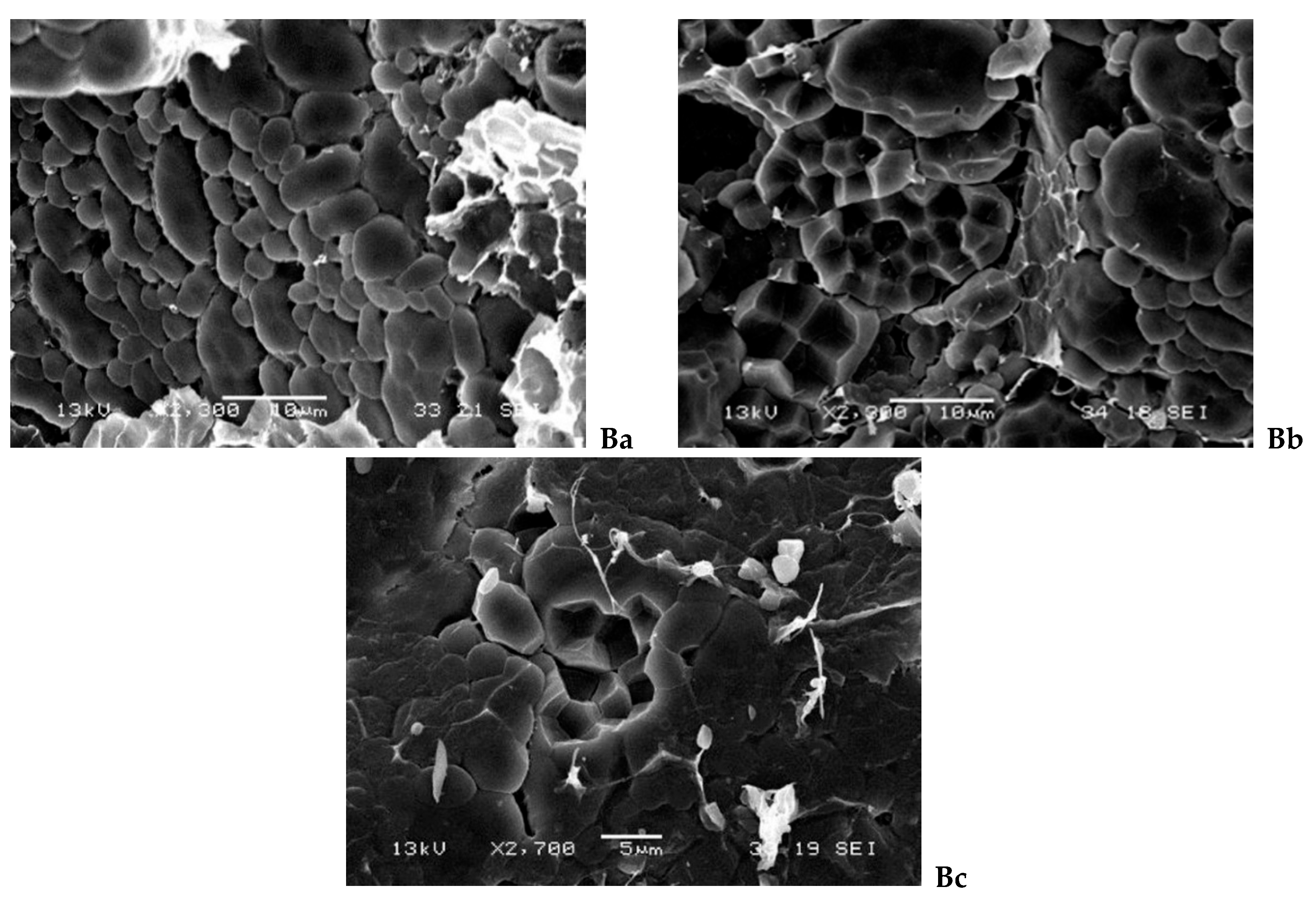 Preprints 139790 g002b