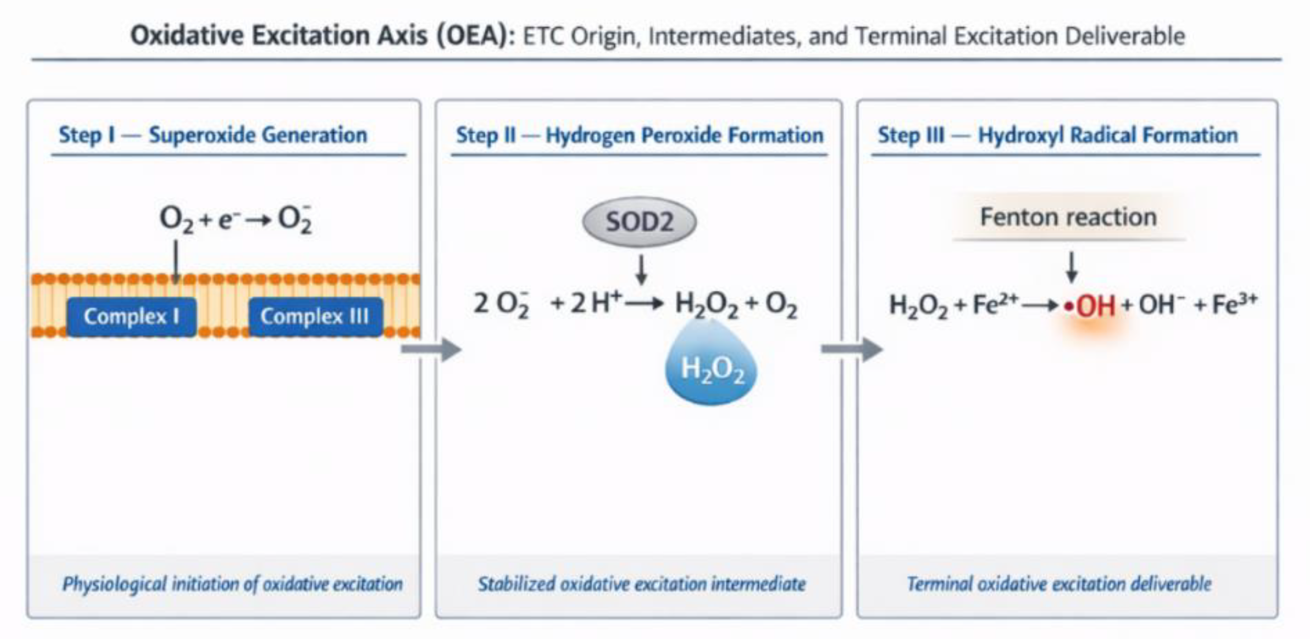 Preprints 196686 g002