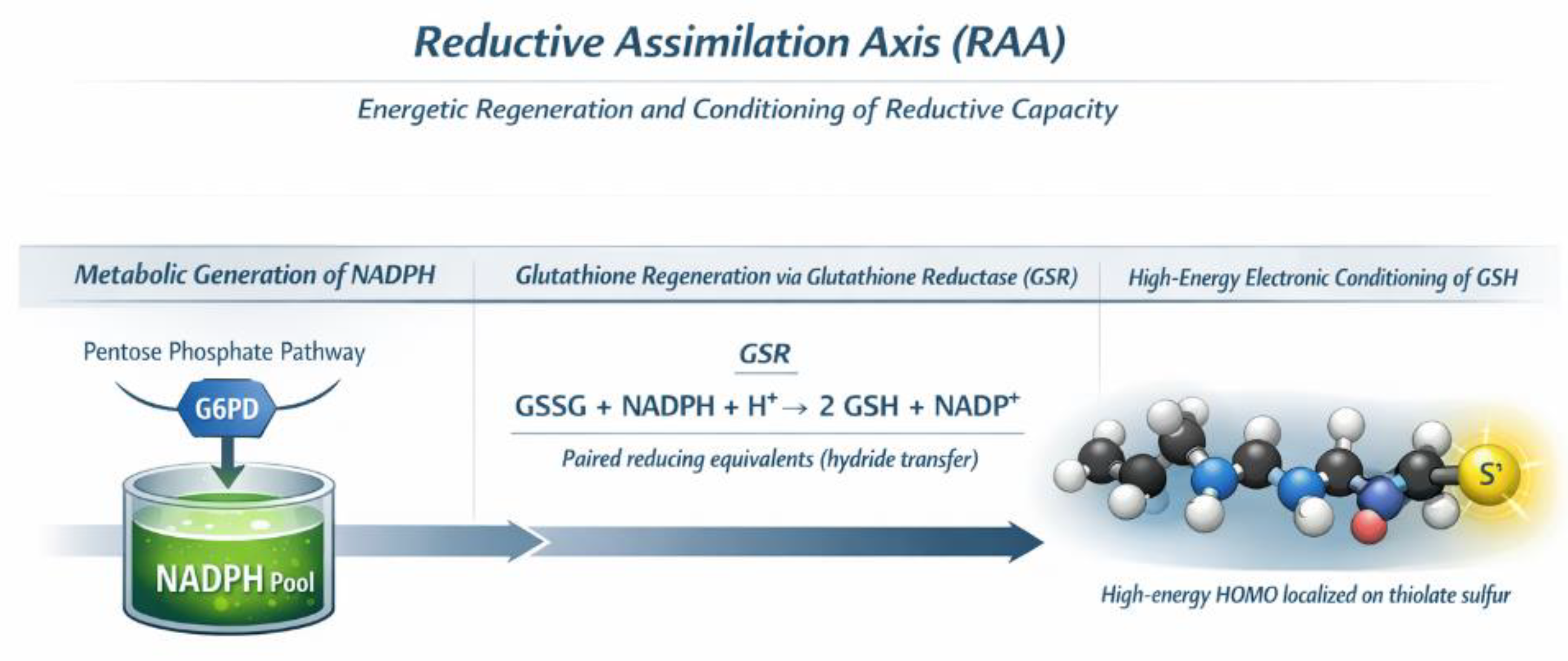 Preprints 196686 g003