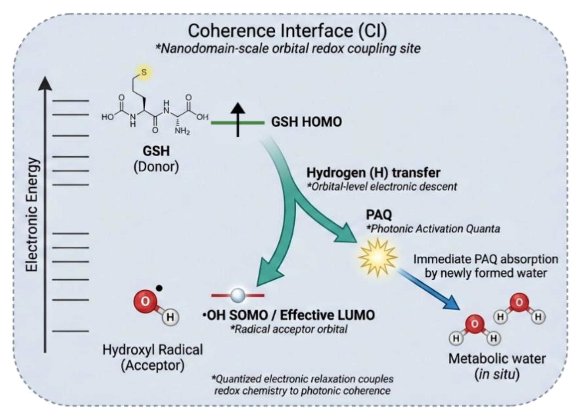 Preprints 196686 g004
