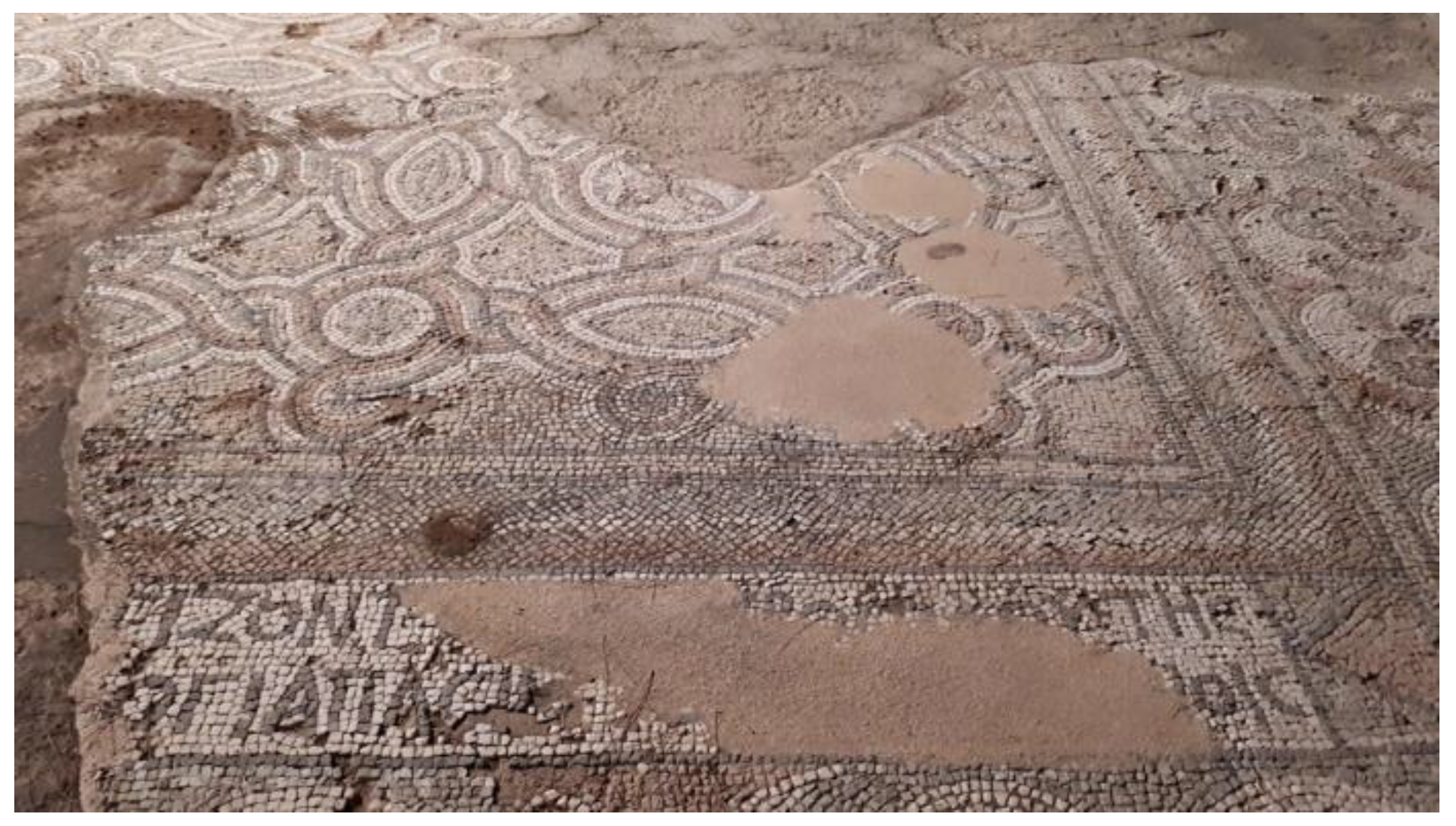 Preprints 152913 g001