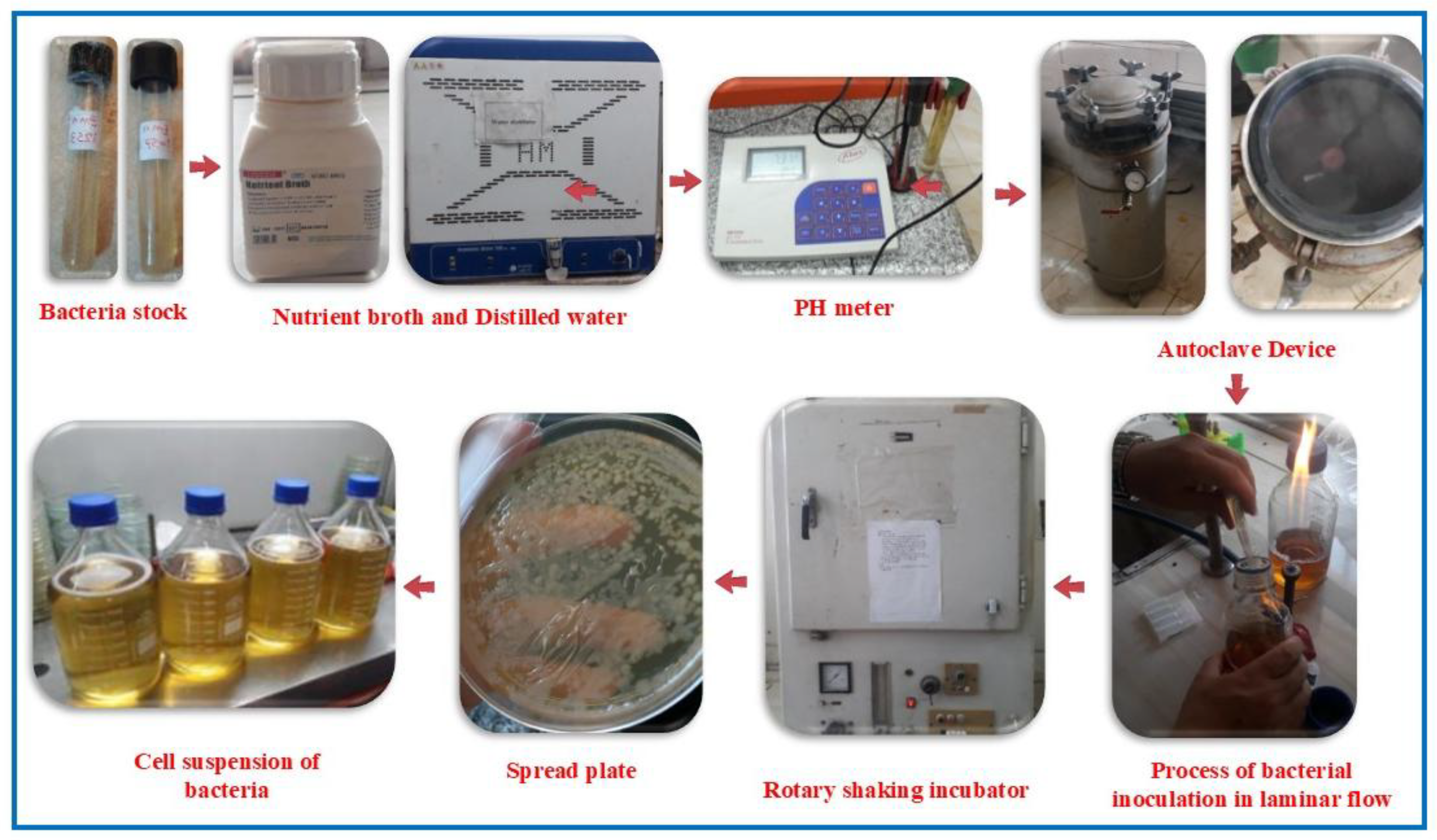 Preprints 164000 g004