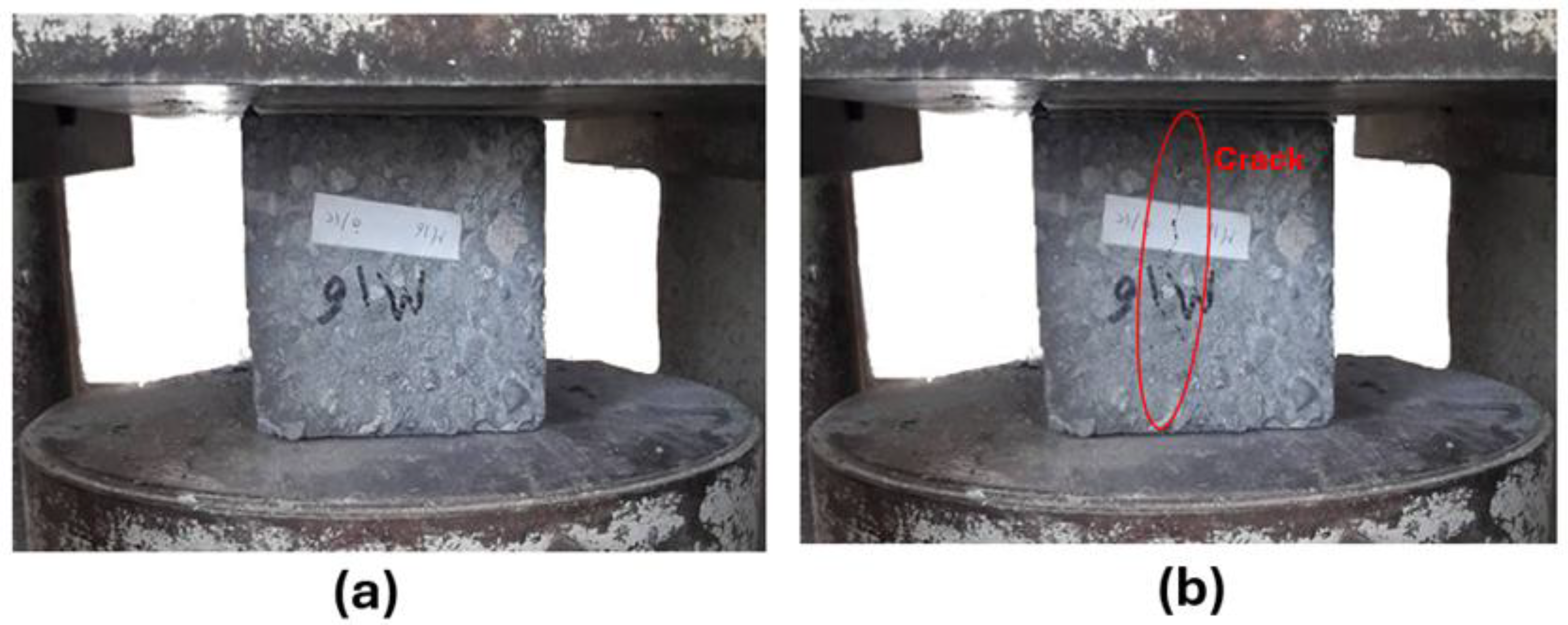 Preprints 164000 g006