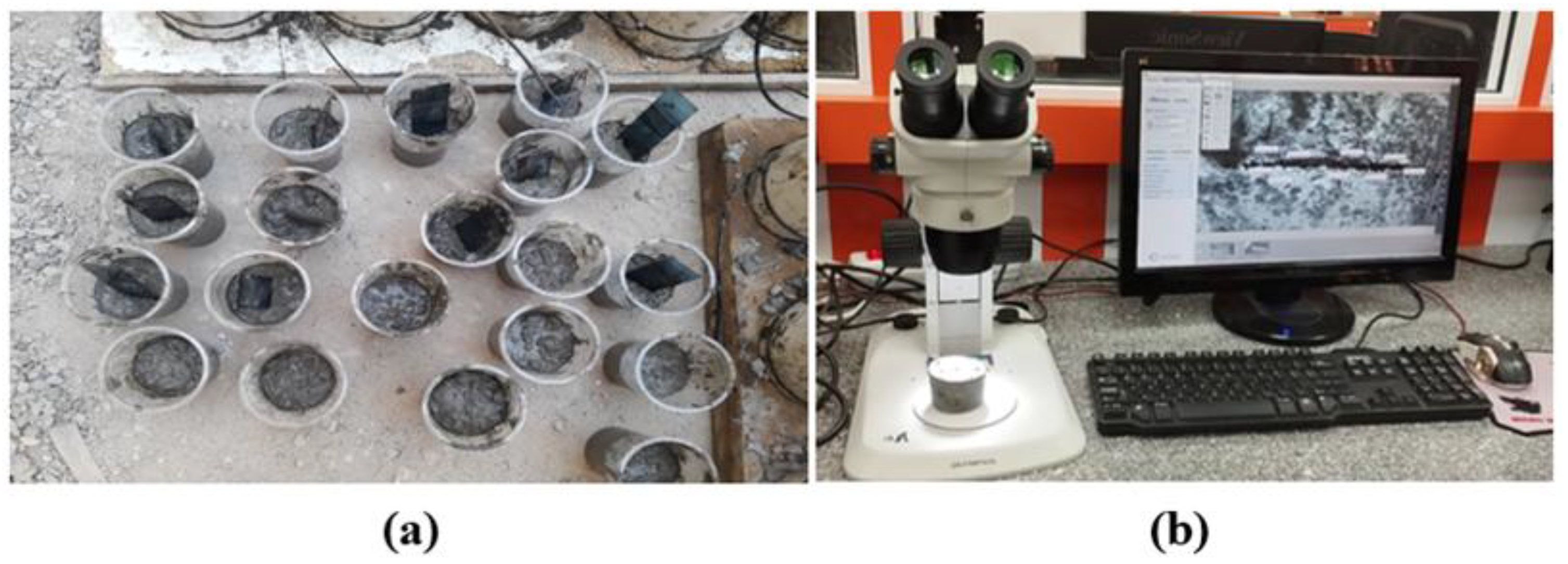 Preprints 164000 g007