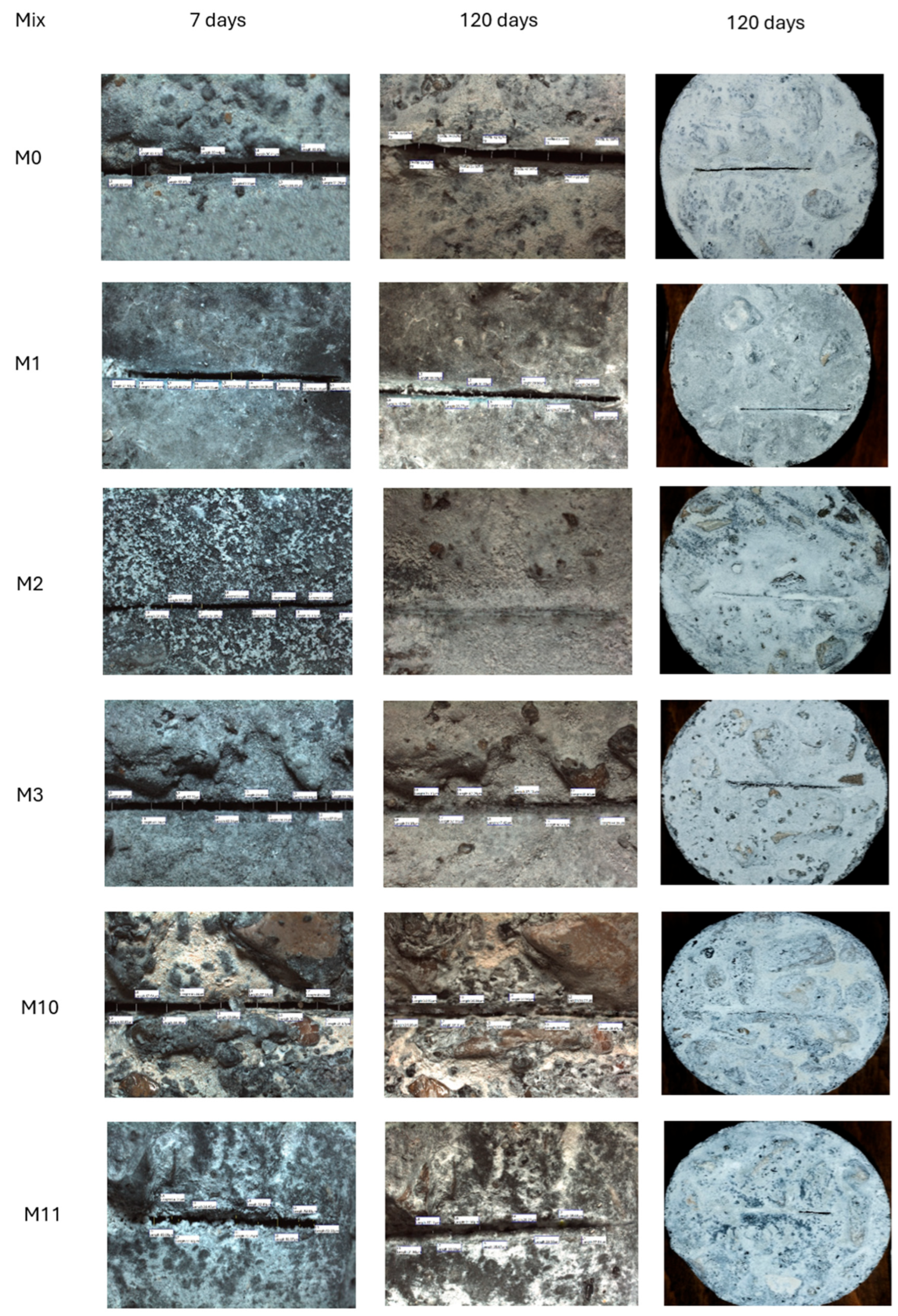 Preprints 164000 g036