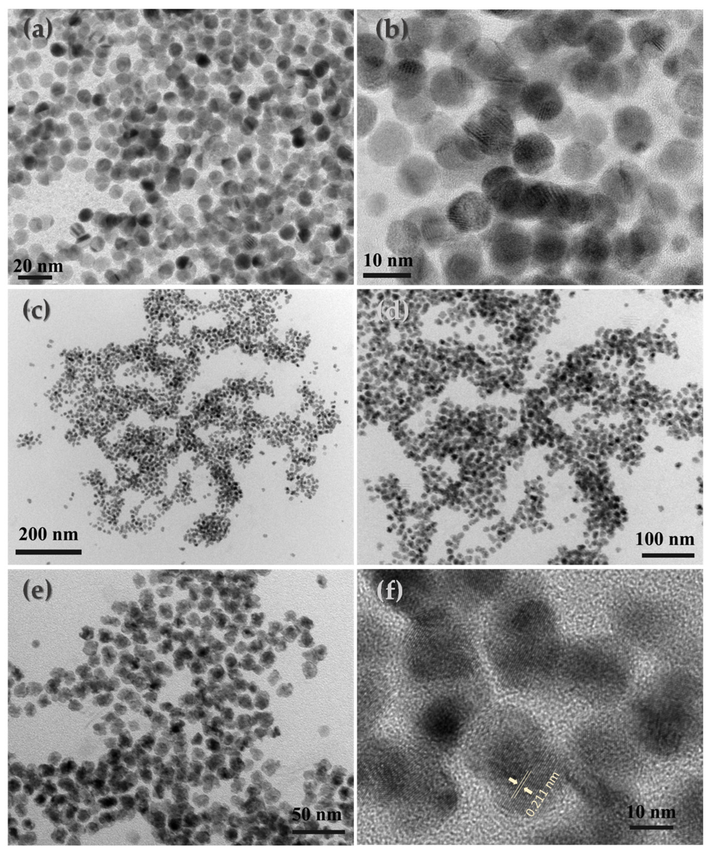 Preprints 88524 g001