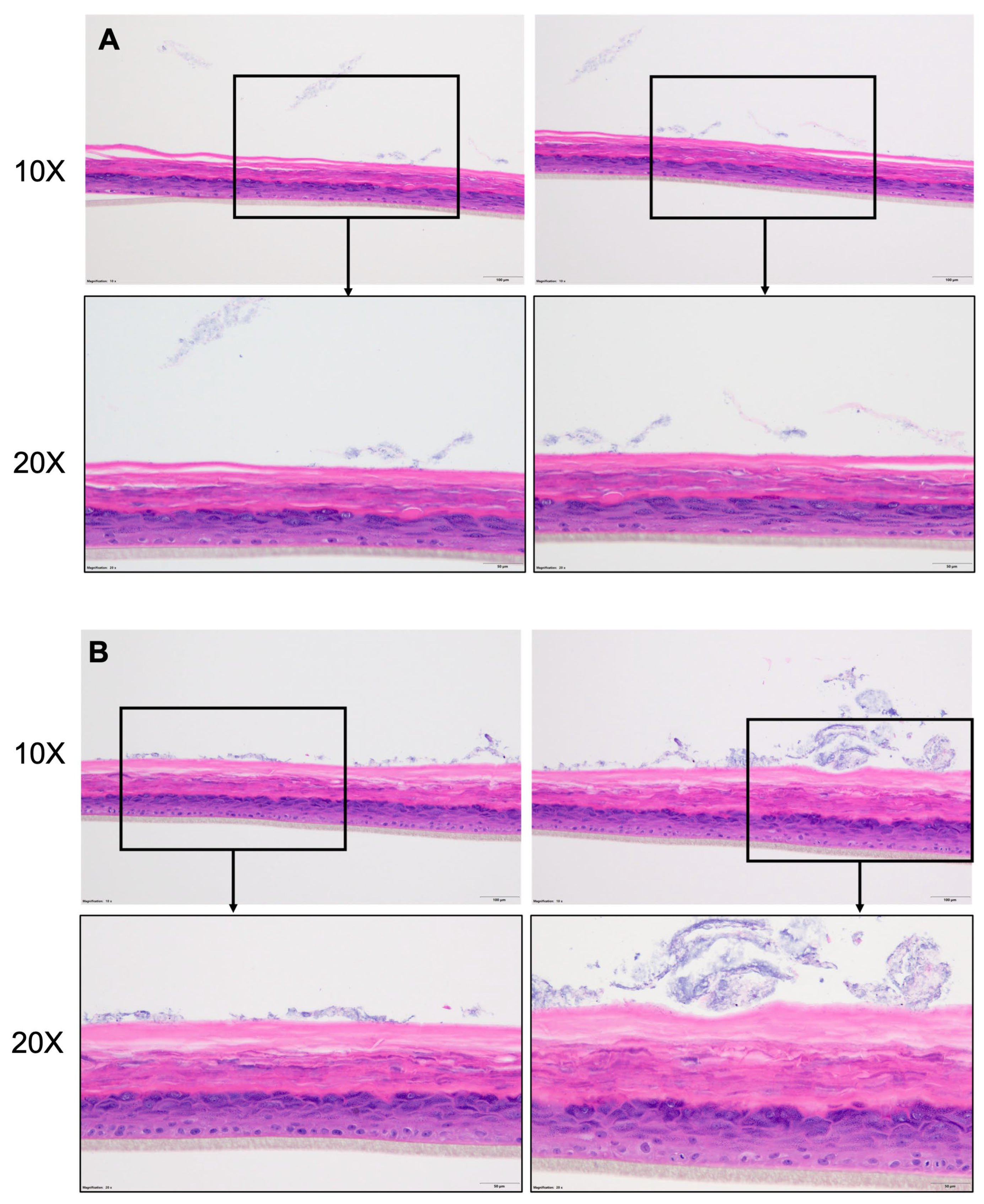 Preprints 198671 g002
