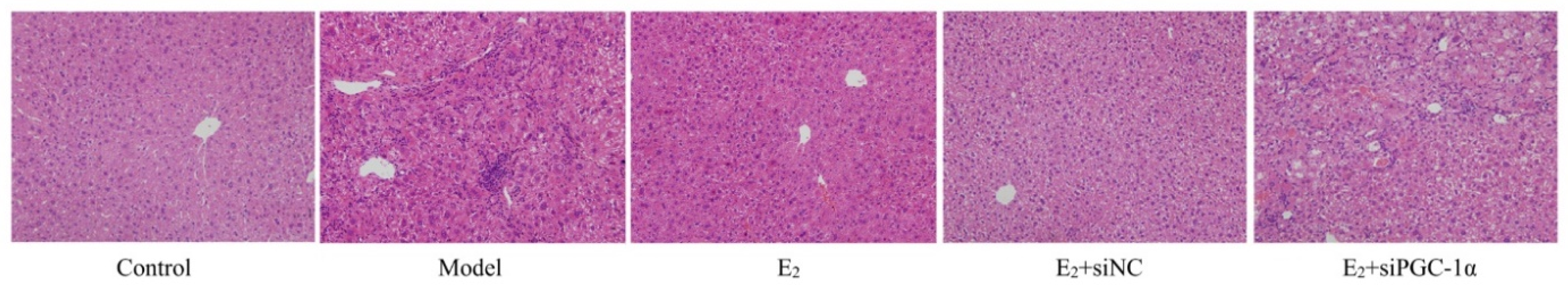 Preprints 170351 g001