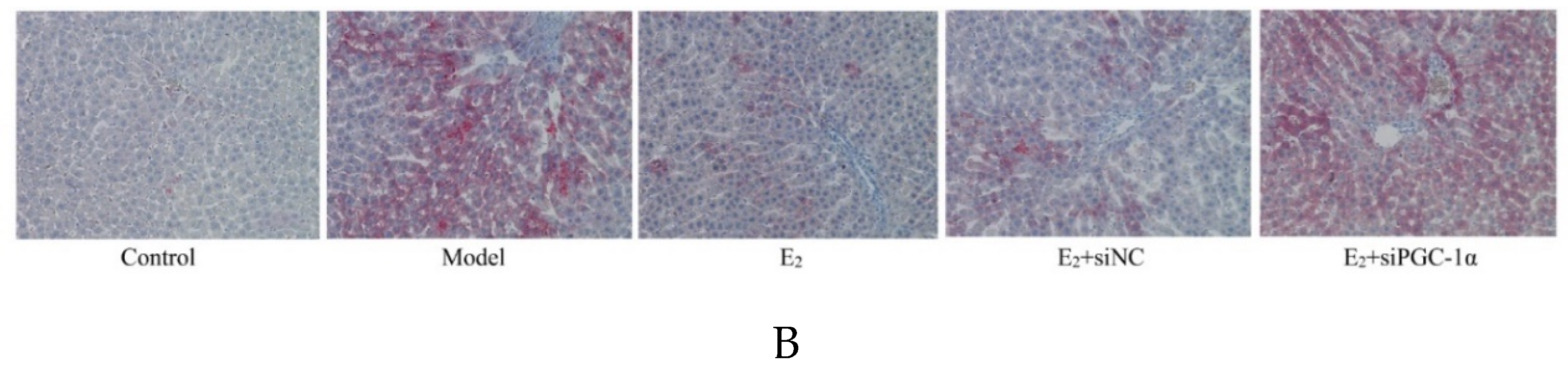 Preprints 170351 g002b