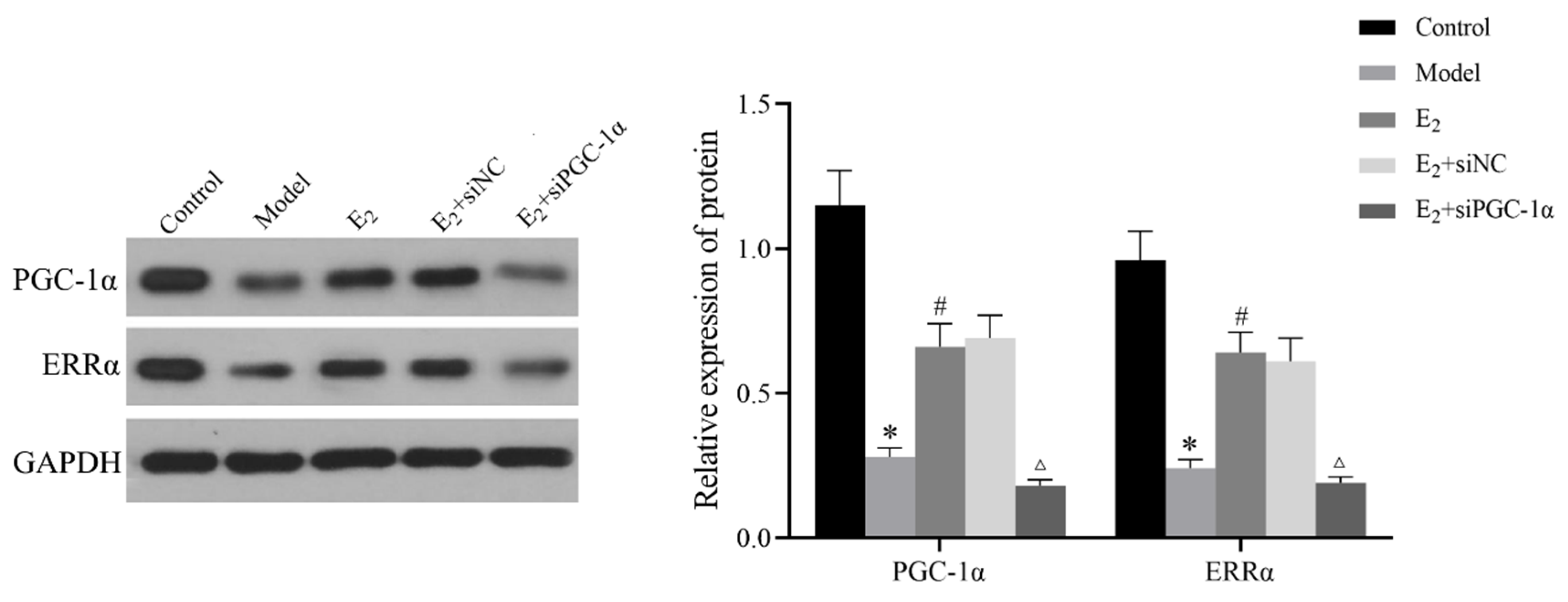 Preprints 170351 g003