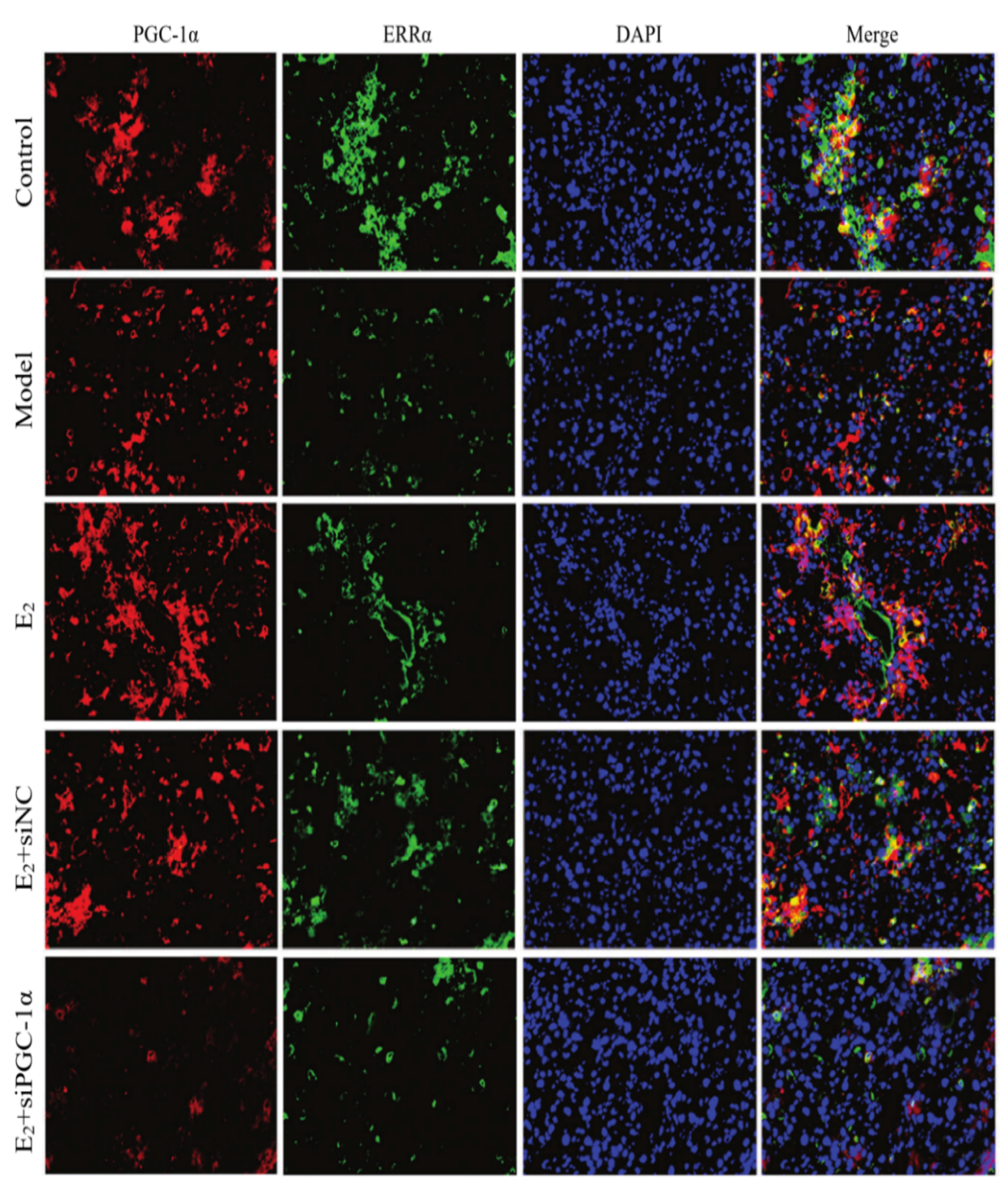 Preprints 170351 g004
