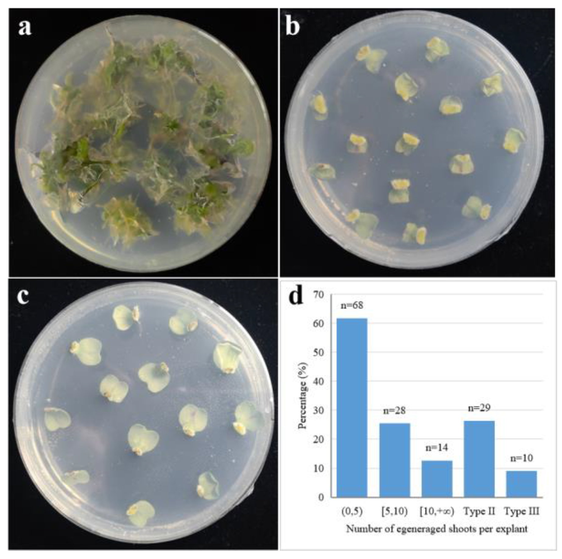 Preprints 185131 g001