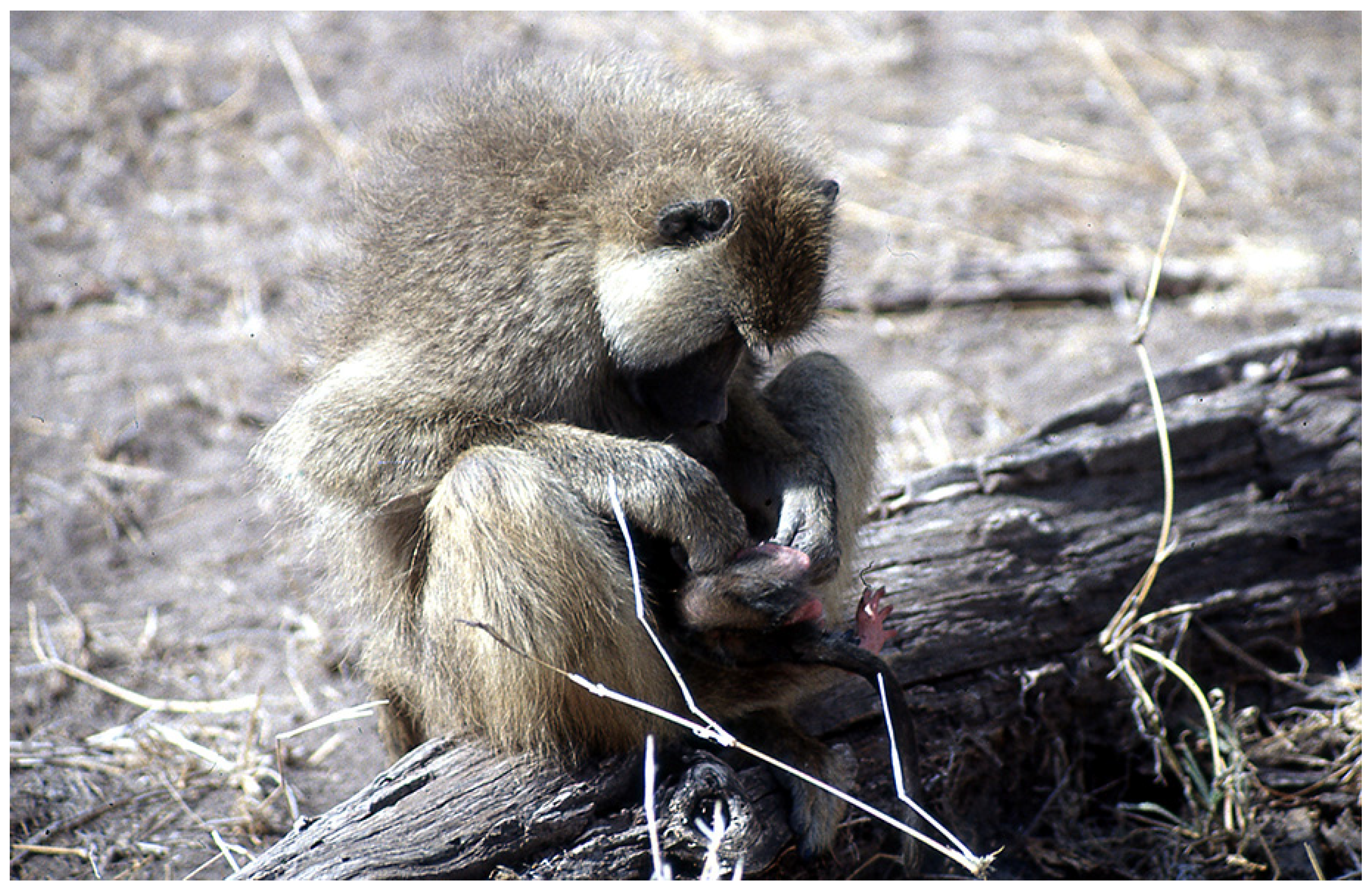 Preprints 146447 g002