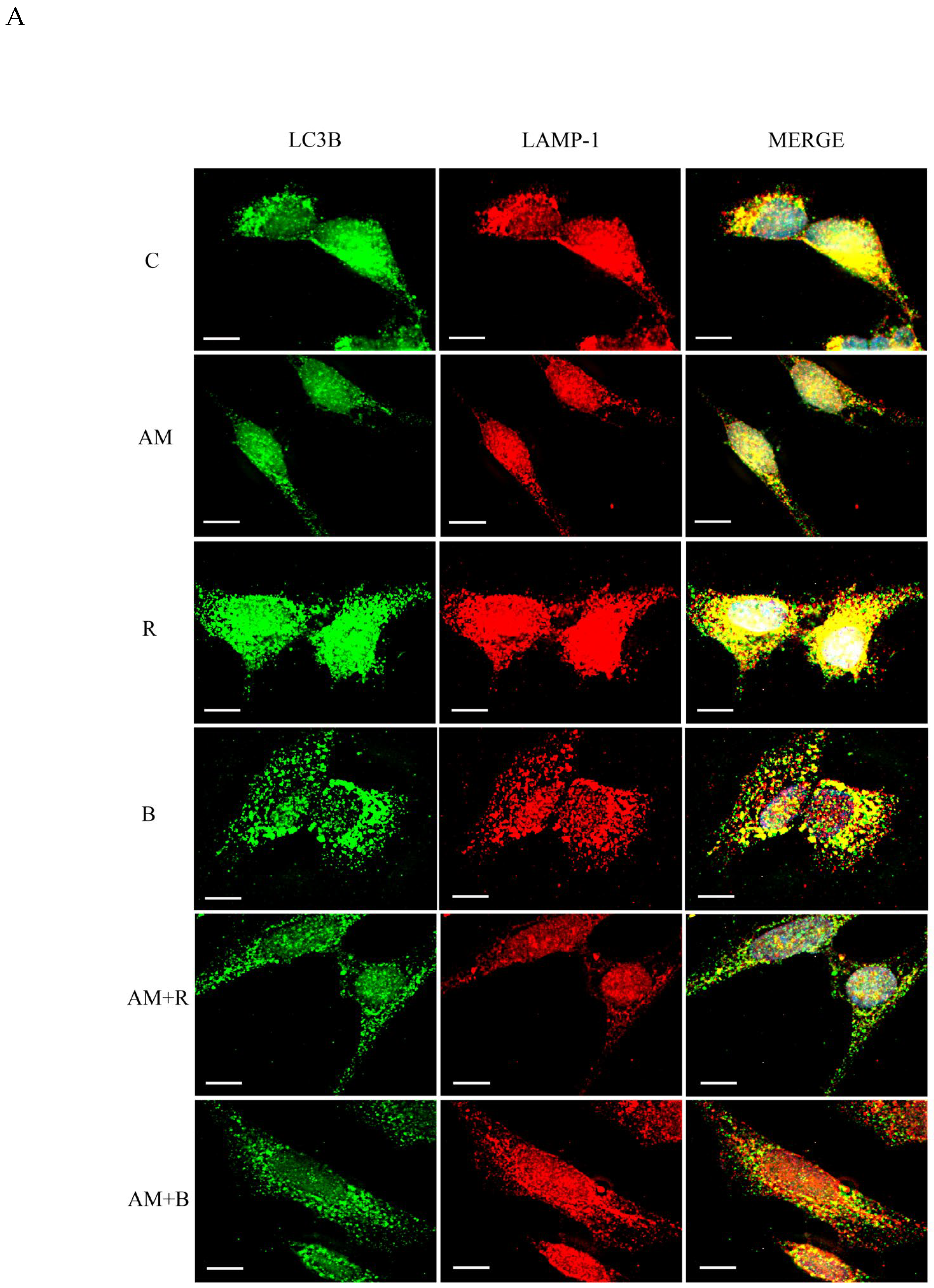 Preprints 200523 g001a