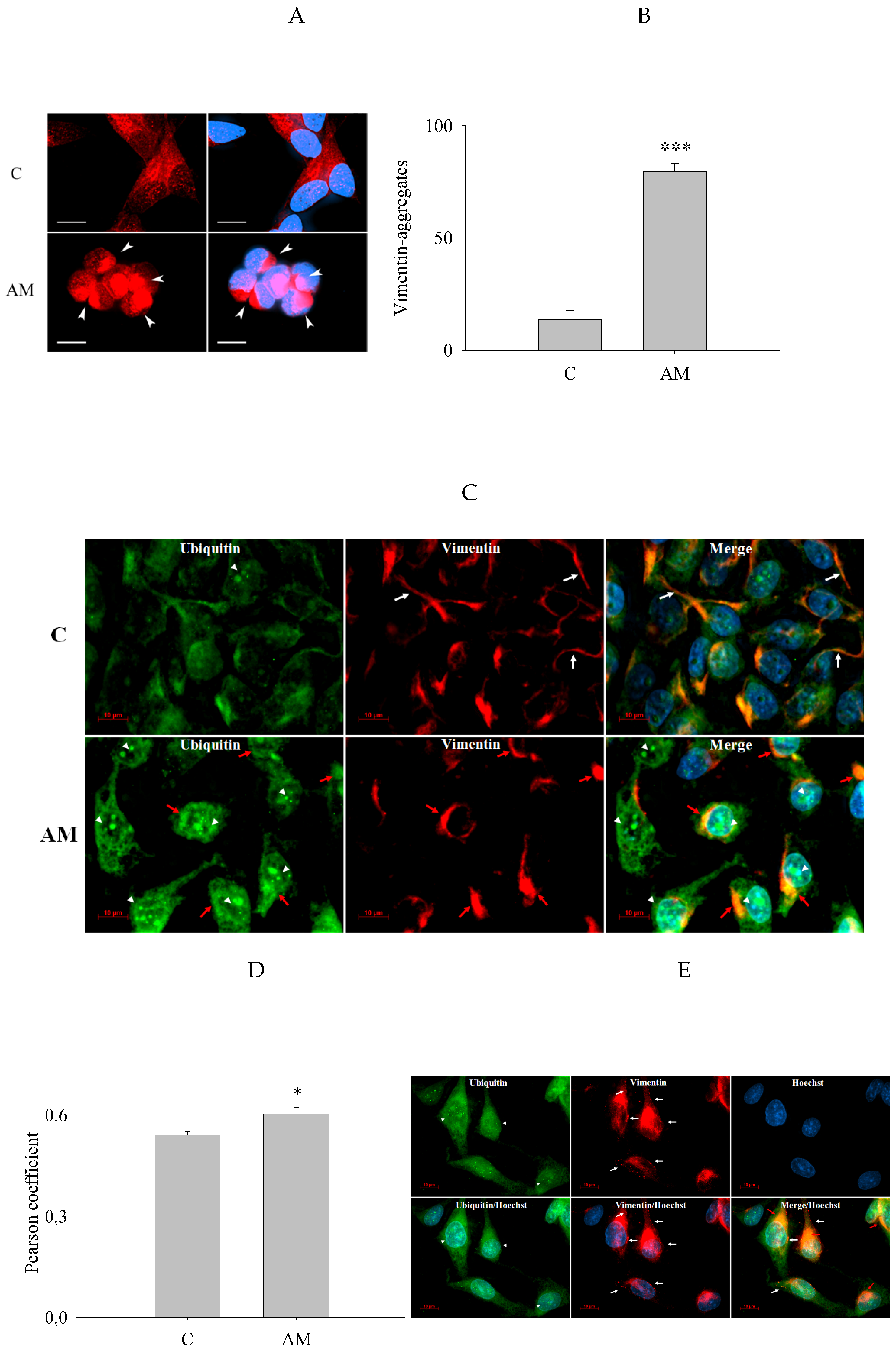 Preprints 200523 g003