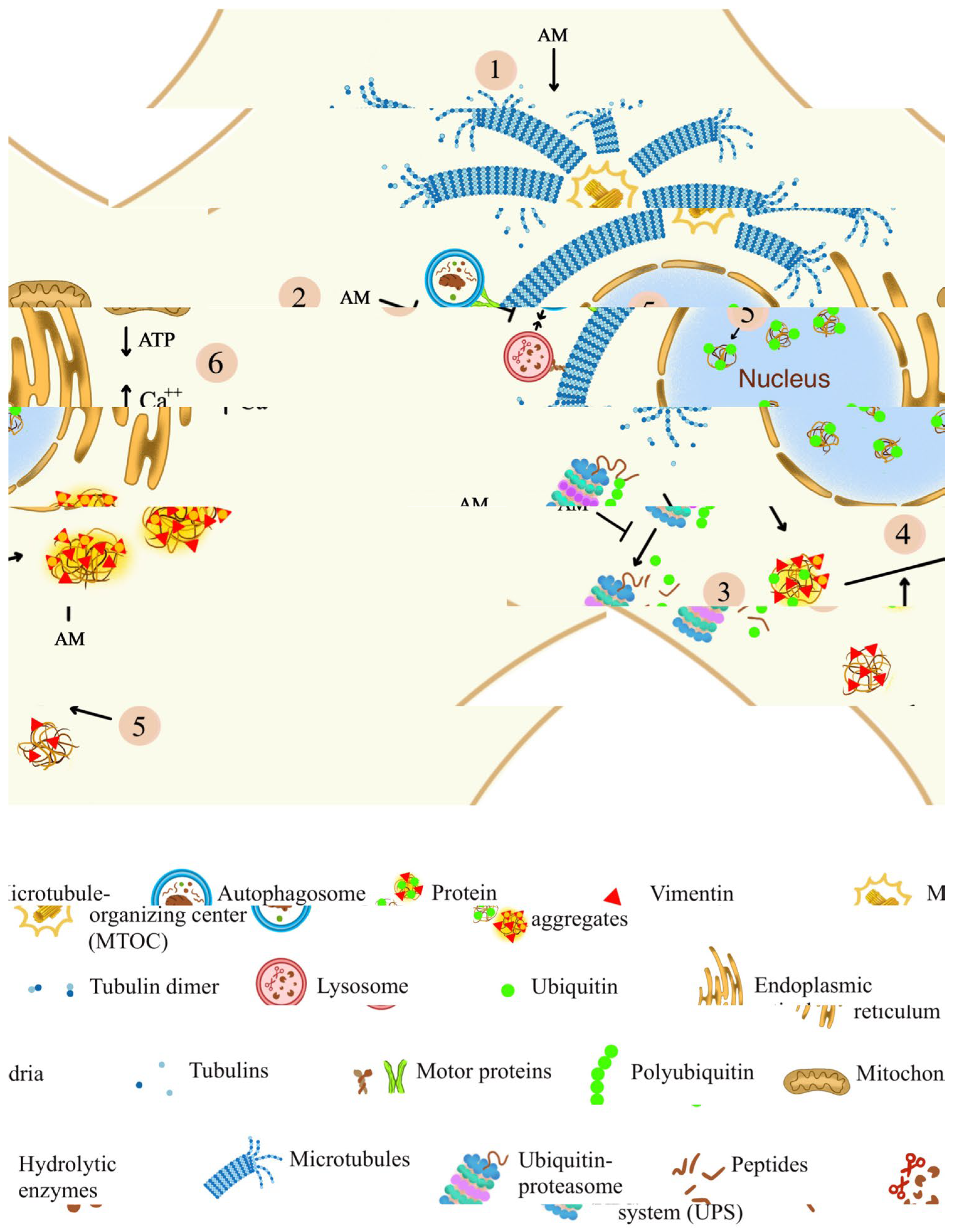 Preprints 200523 g005