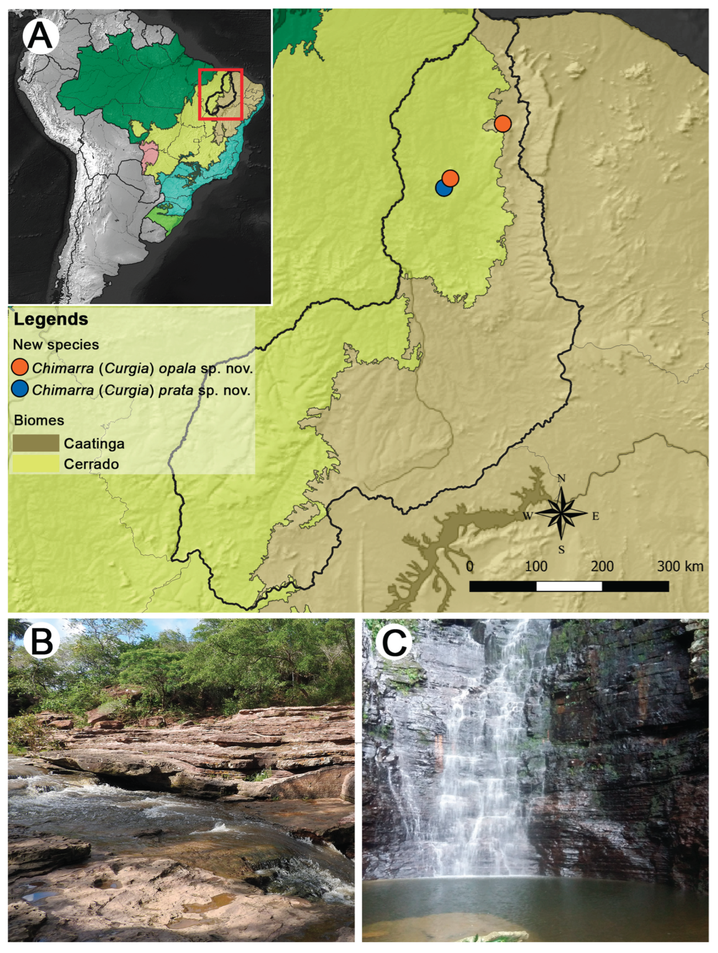 Preprints 164931 g001