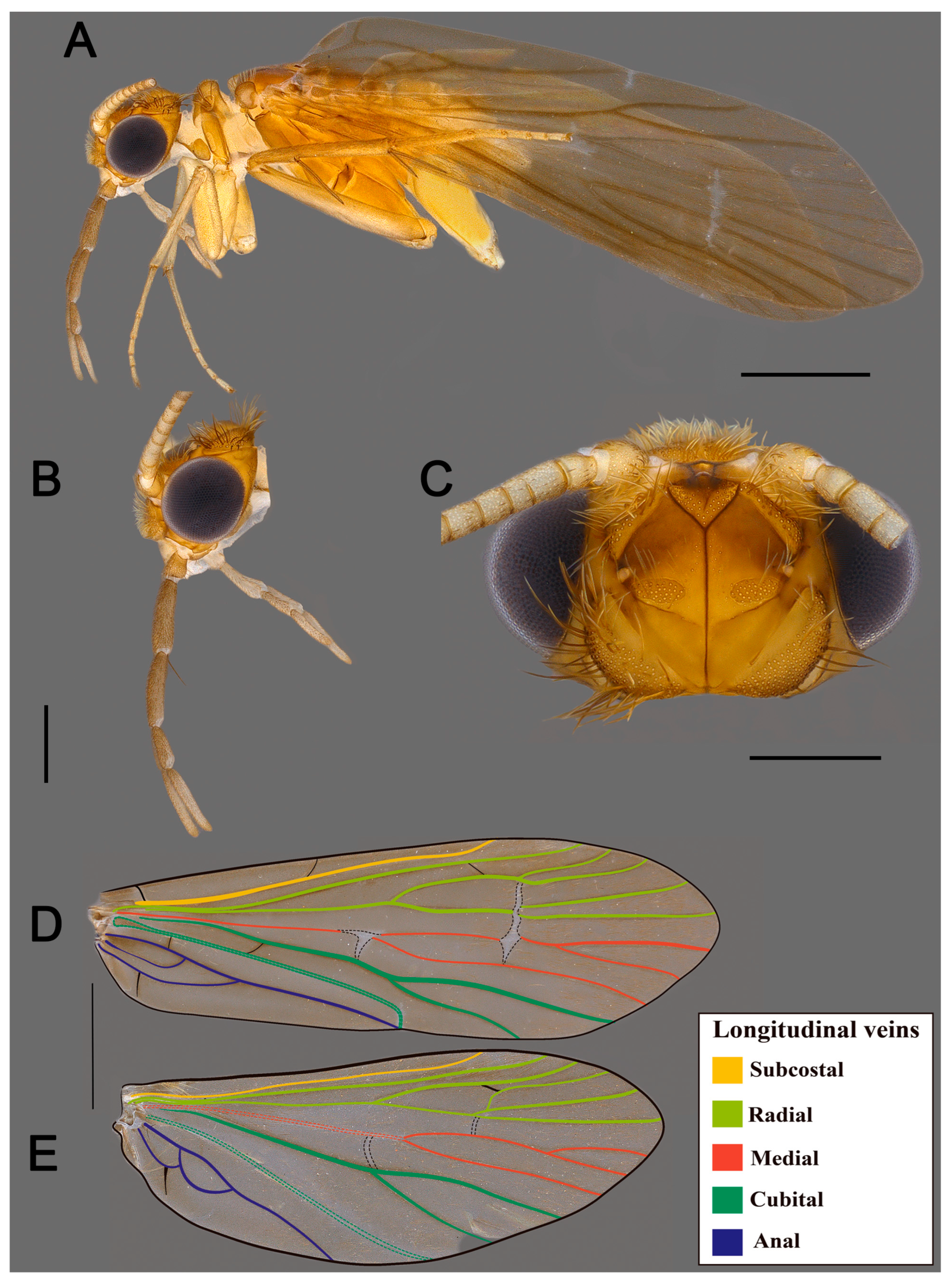 Preprints 164931 g004
