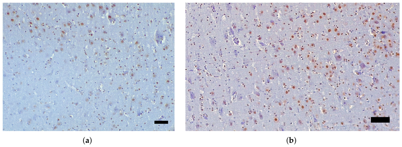 Preprints 211132 g001