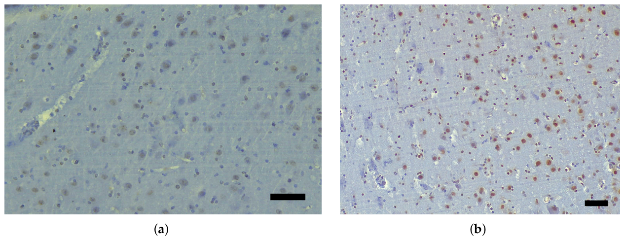 Preprints 211132 g002