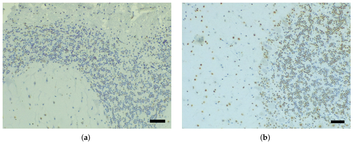 Preprints 211132 g003