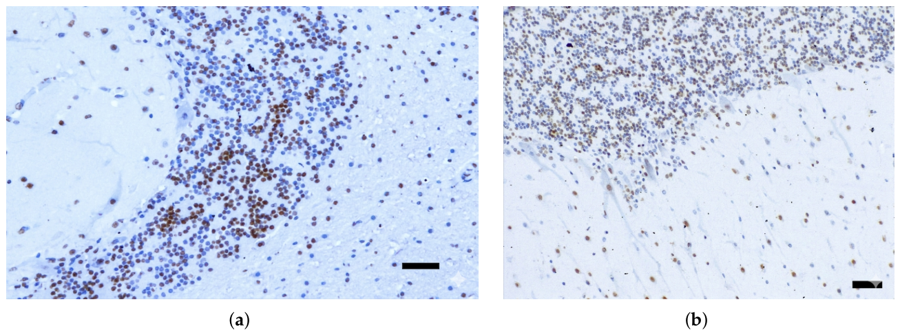 Preprints 211132 g004