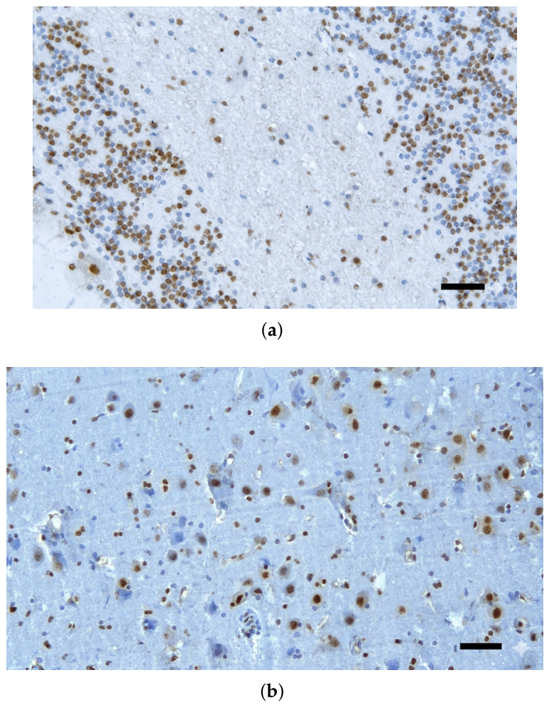 Preprints 211132 g005