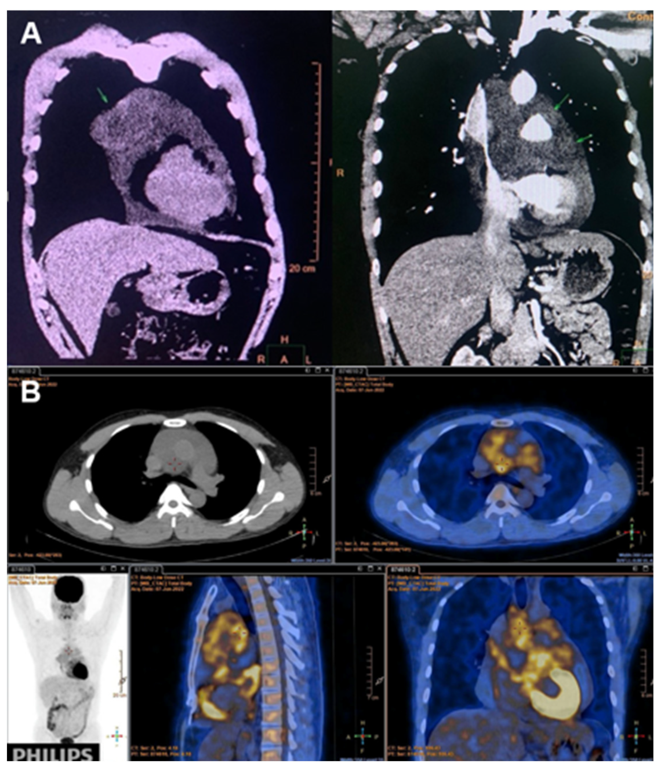 Preprints 166112 g001
