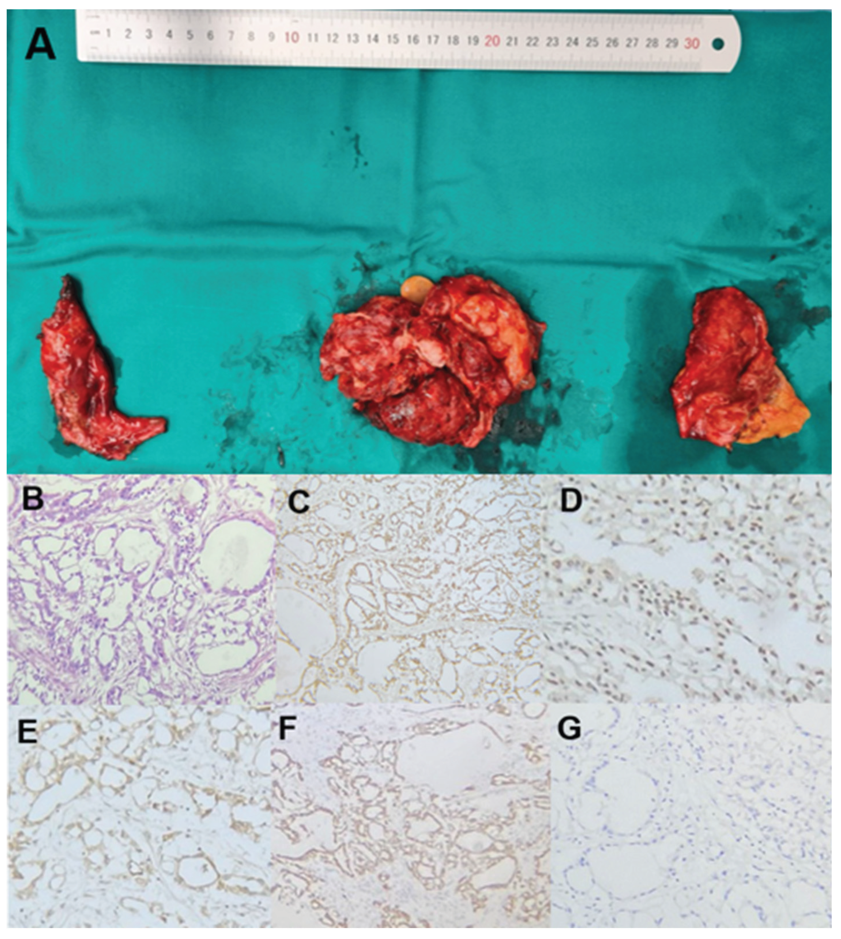 Preprints 166112 g002