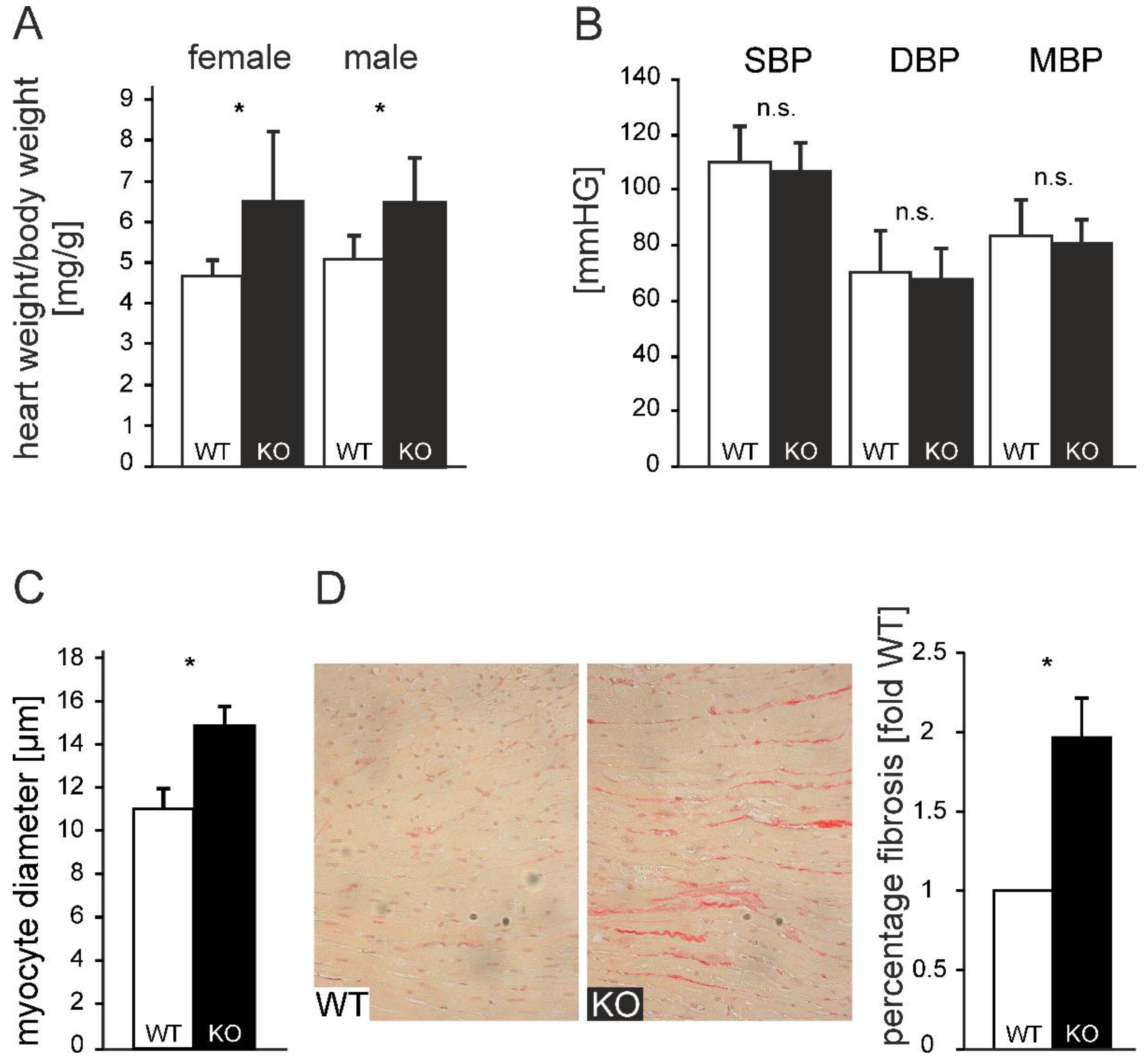 Preprints 147872 g004