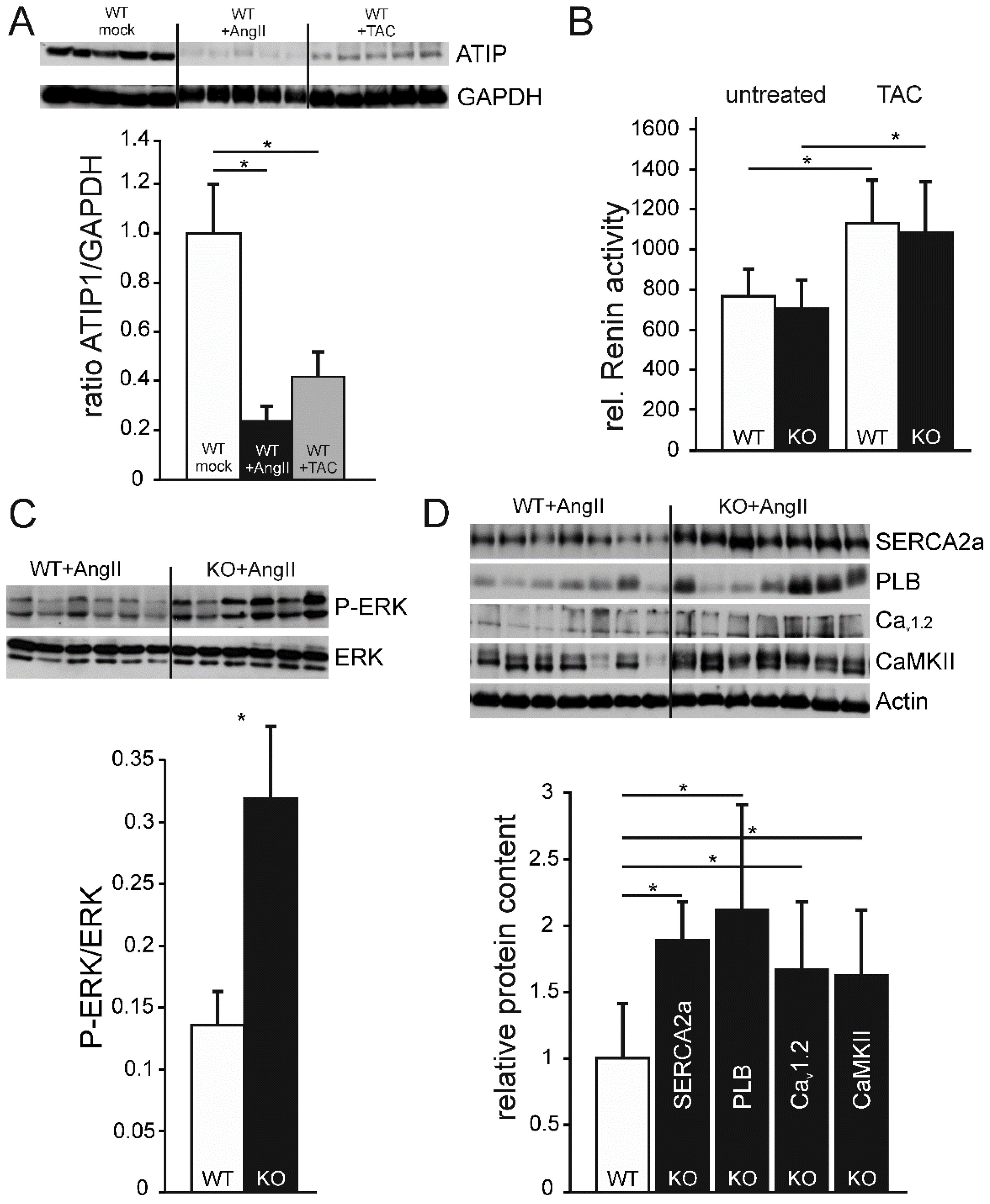 Preprints 147872 g007